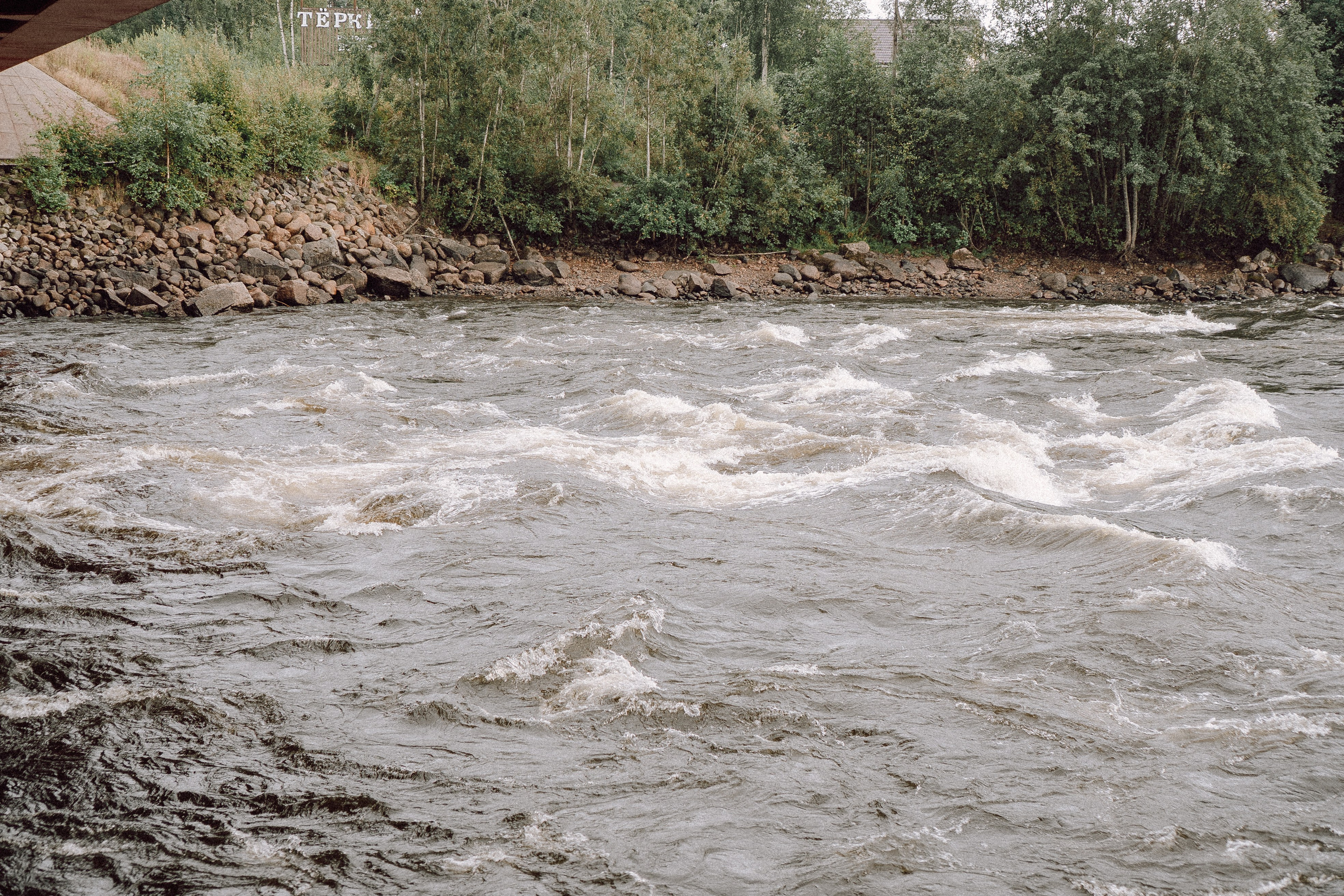 СВАДЕБНАЯ ФОТОСЕССИИЯ ПАРЫ В ГОРОДЕ ПРИОЗЕРСК В СОСНОВОМ ЛЕСУ И С ПИКАПОМ. Профессиональный фотограф, Санкт-Петербург — Виктория Богомолова