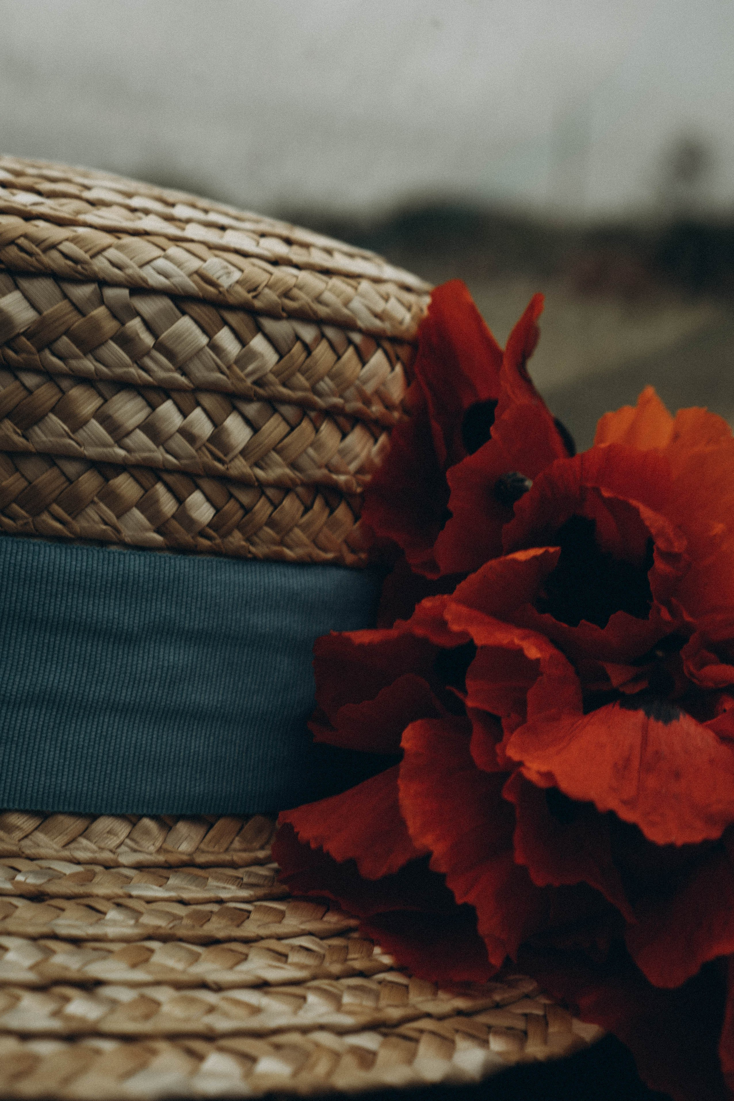 Кавказ. Профессиональный фотограф, Санкт-Петербург — Виктория Богомолова