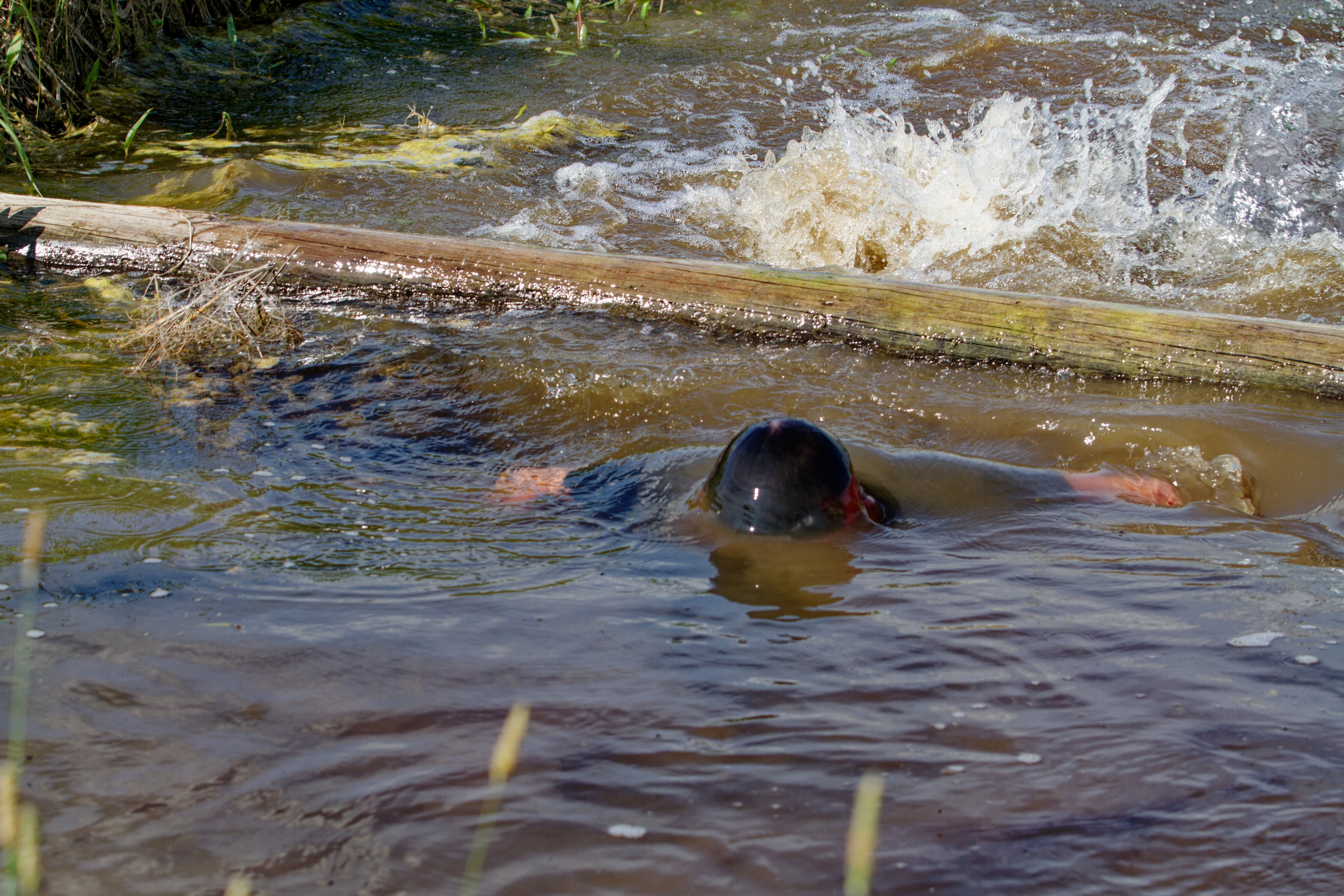Родео59. Репортажный и спортивный фотограф в г. Пермь Зильберг Павел