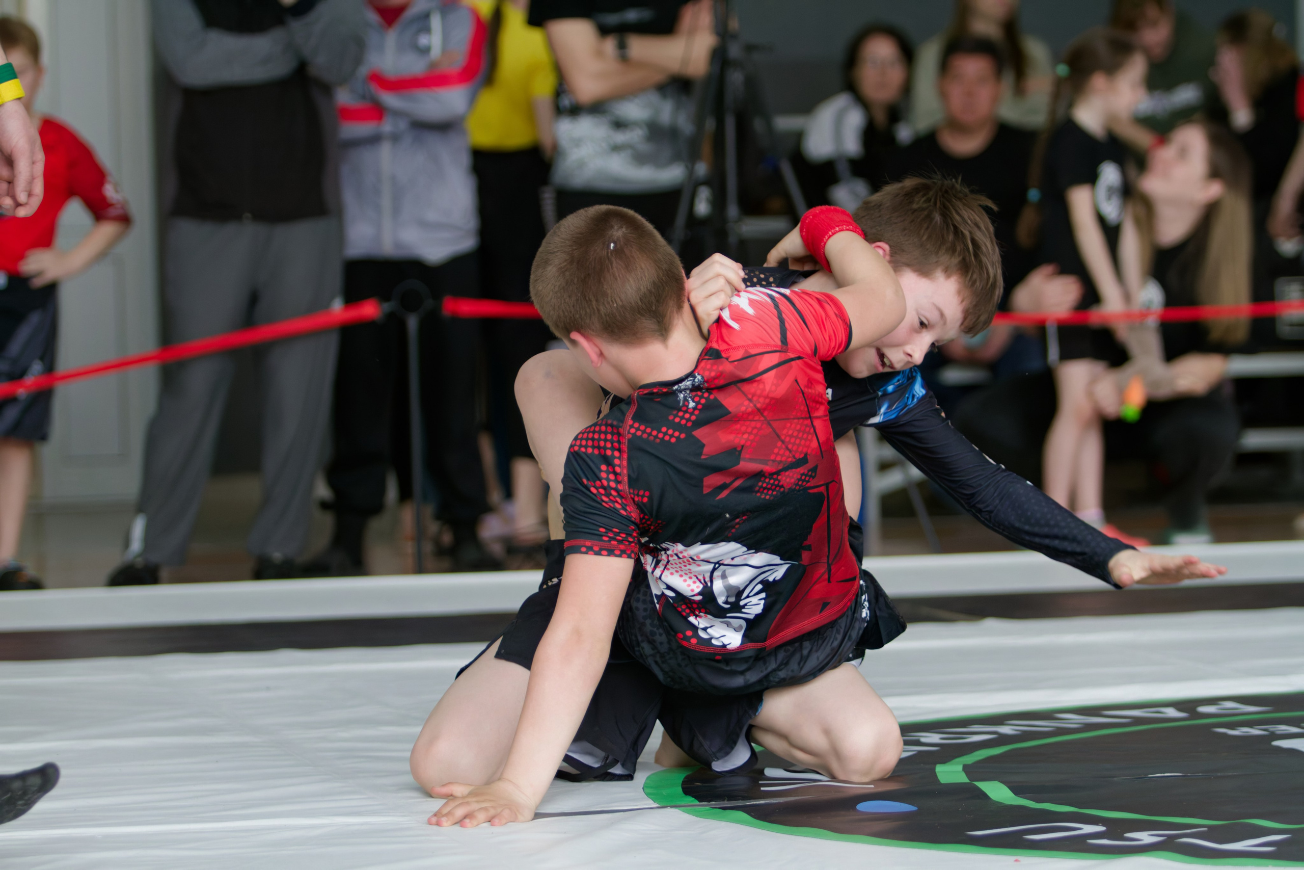 Борьба. Джиу-джитсу 26.04.2025. Репортажный и спортивный фотограф в г. Пермь Зильберг Павел