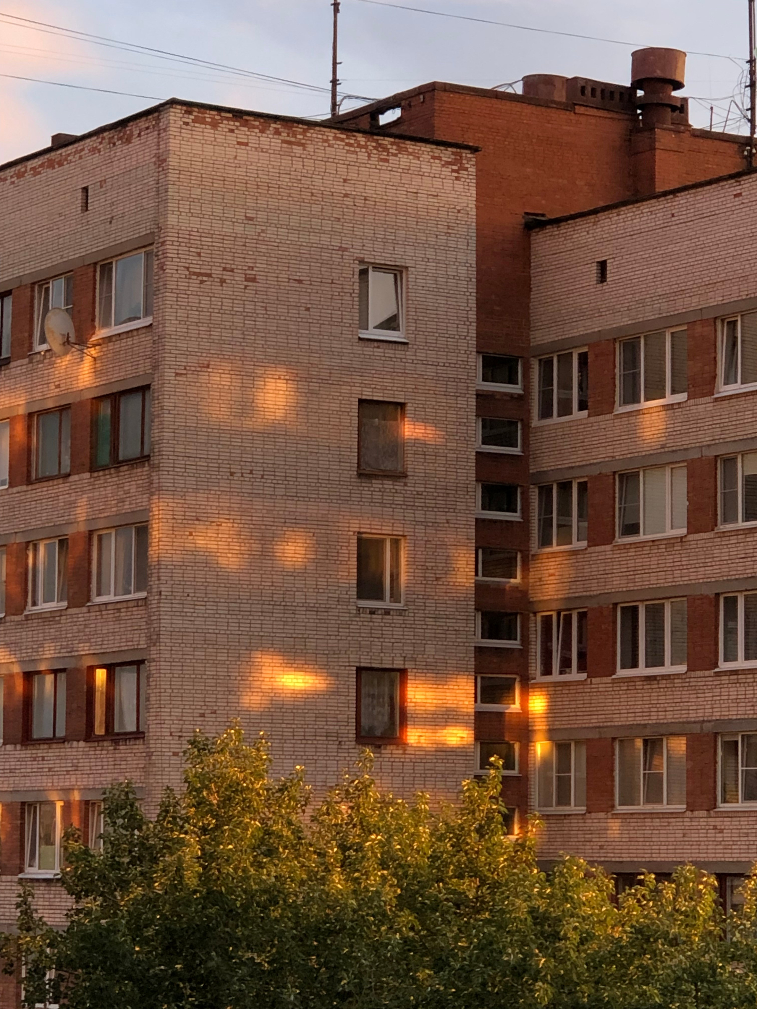 Июль. Семейный, Свадебный фотограф СПБ Питер— Романова Екатерина