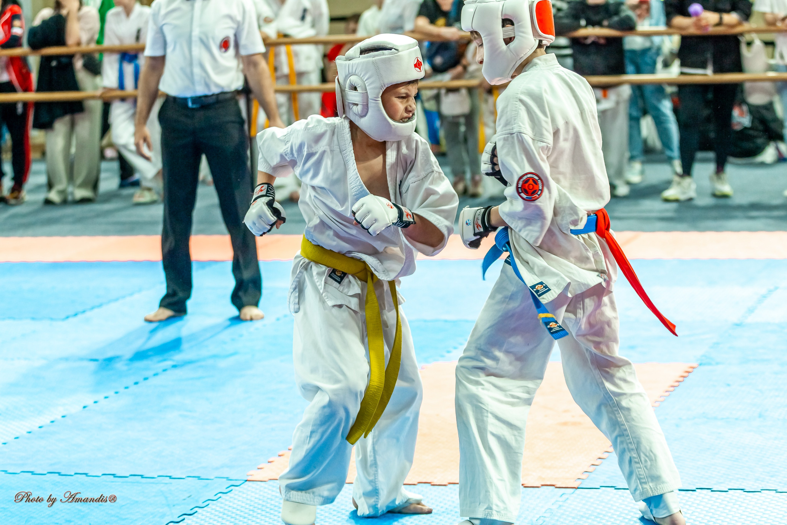 Первенство Московской области по Киокушин в СК «Жаворонки». Репортажная съемка в Москве и области. Анималистика