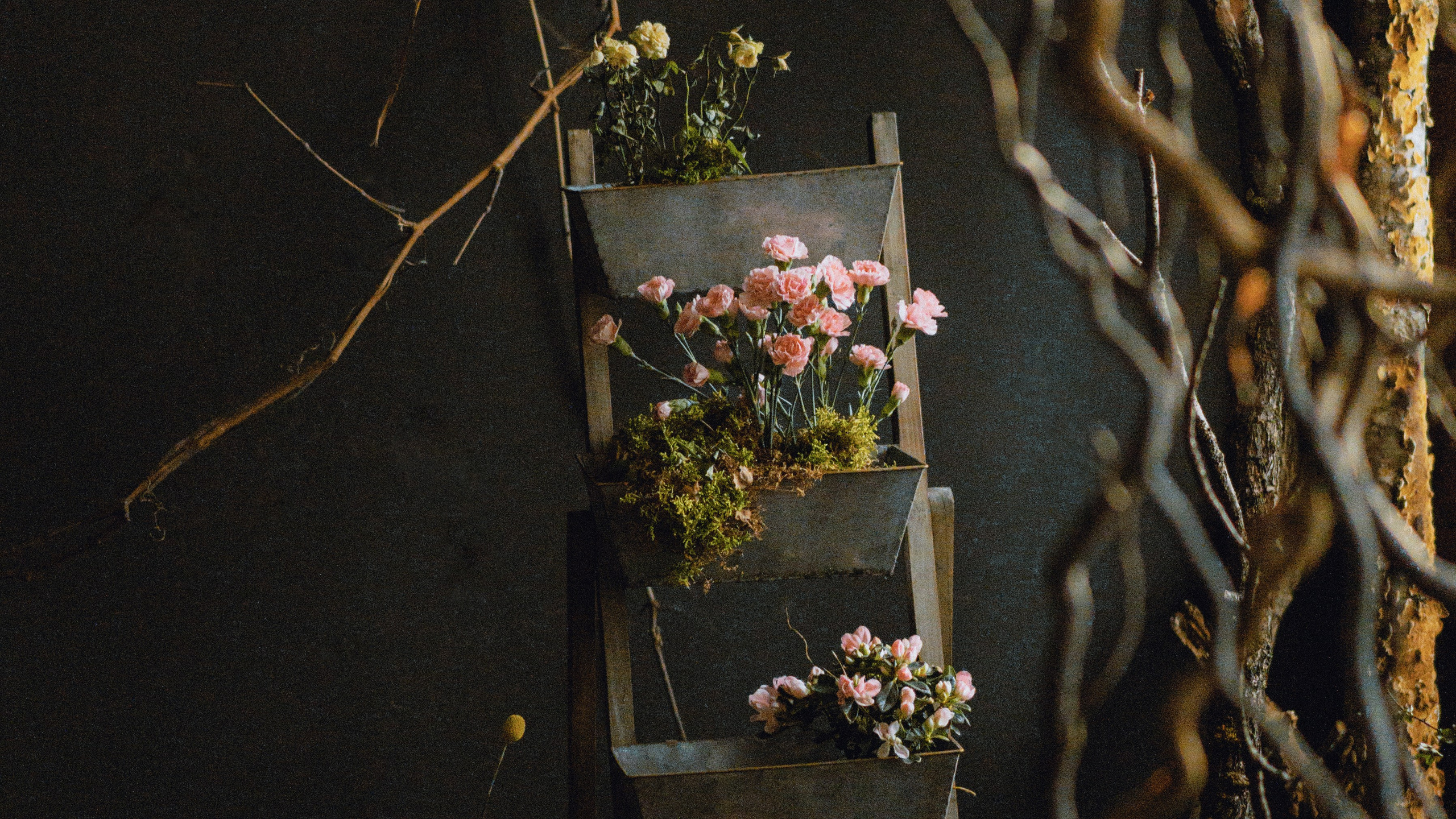 Контакты. Фотограф Екатерина Катунова | Москва