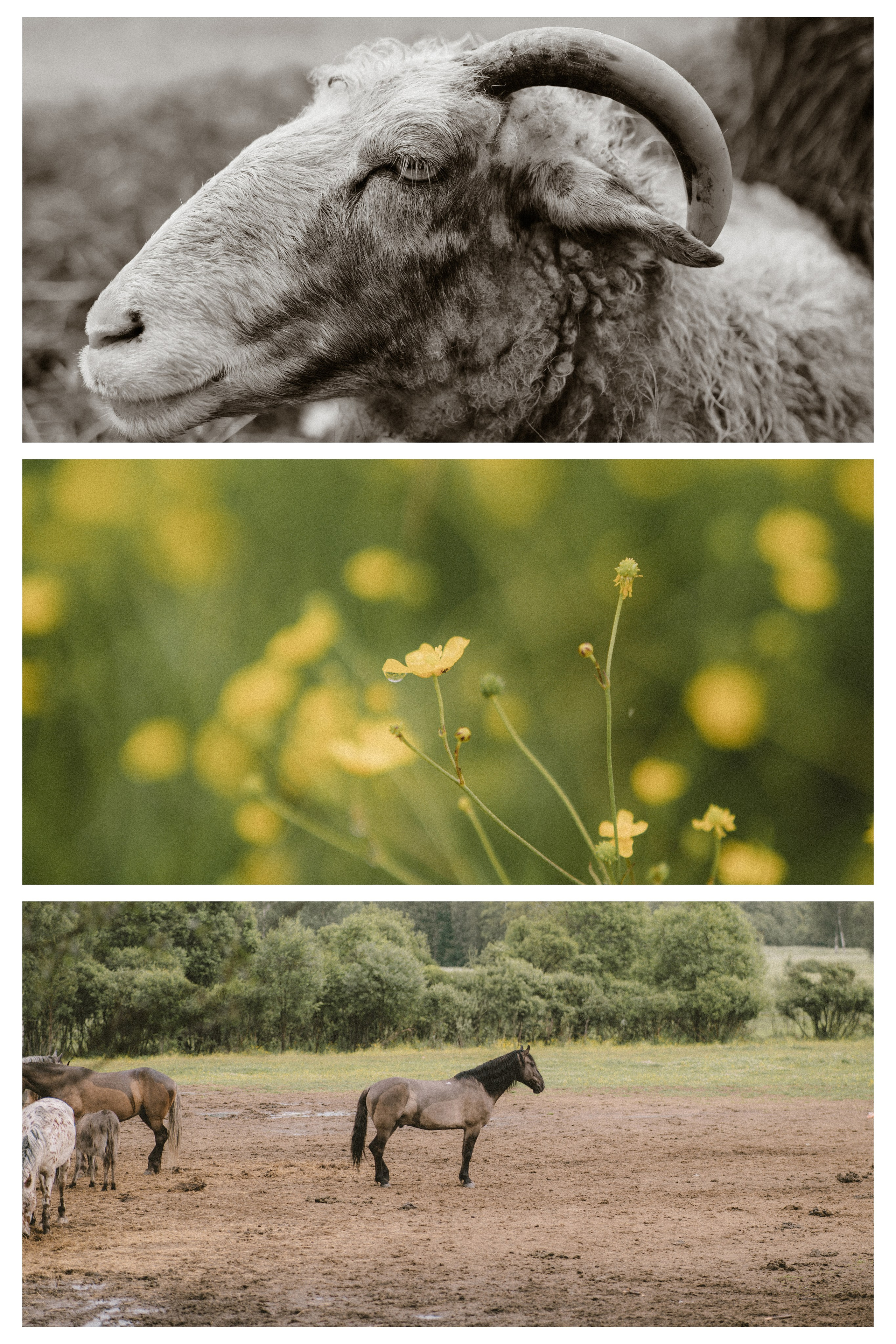 Санкт-Петербург. Фотограф Екатерина Катунова | Москва