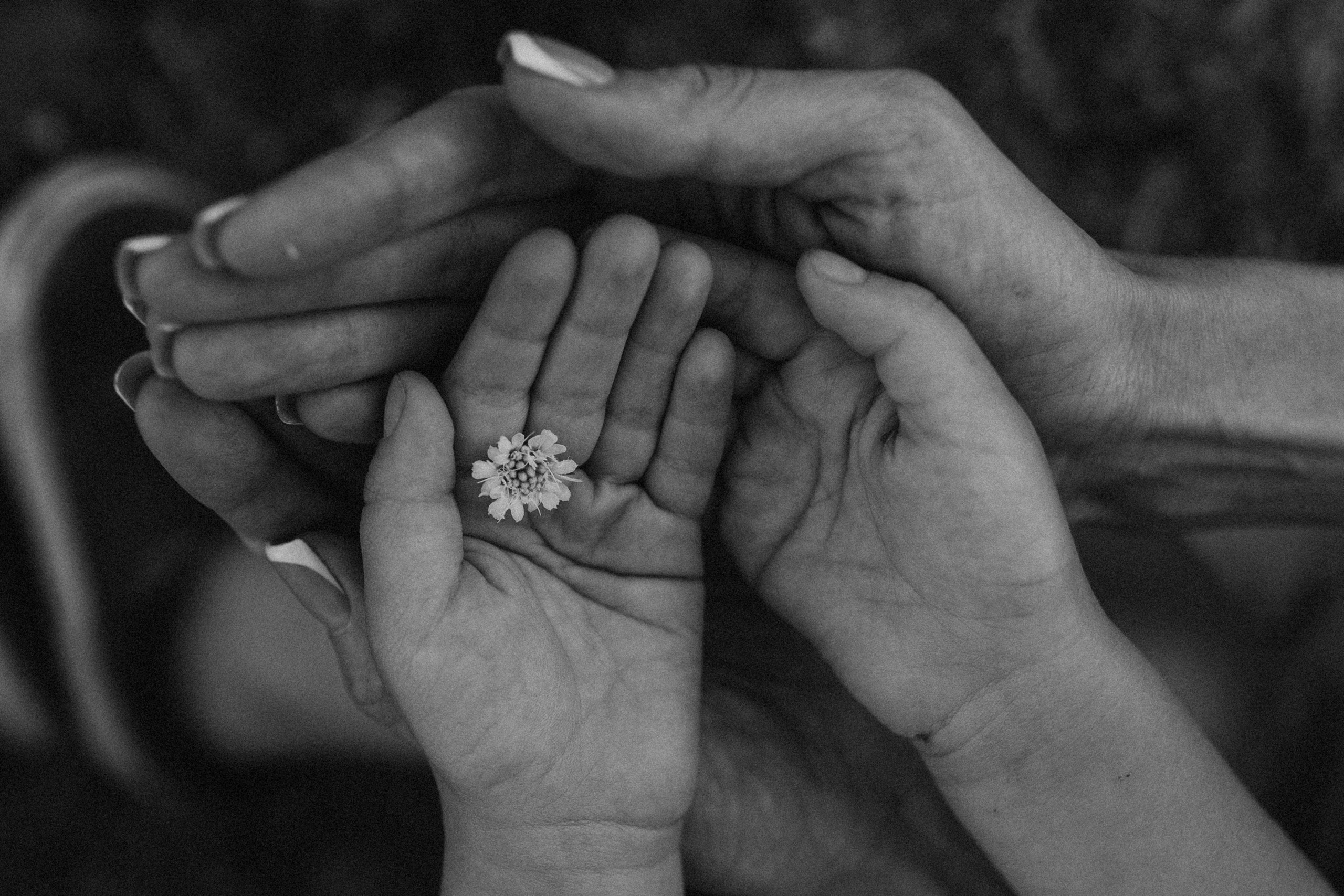 Индивидуальные. Семейный и портретный фотограф в Севастополе Ирина Ященко