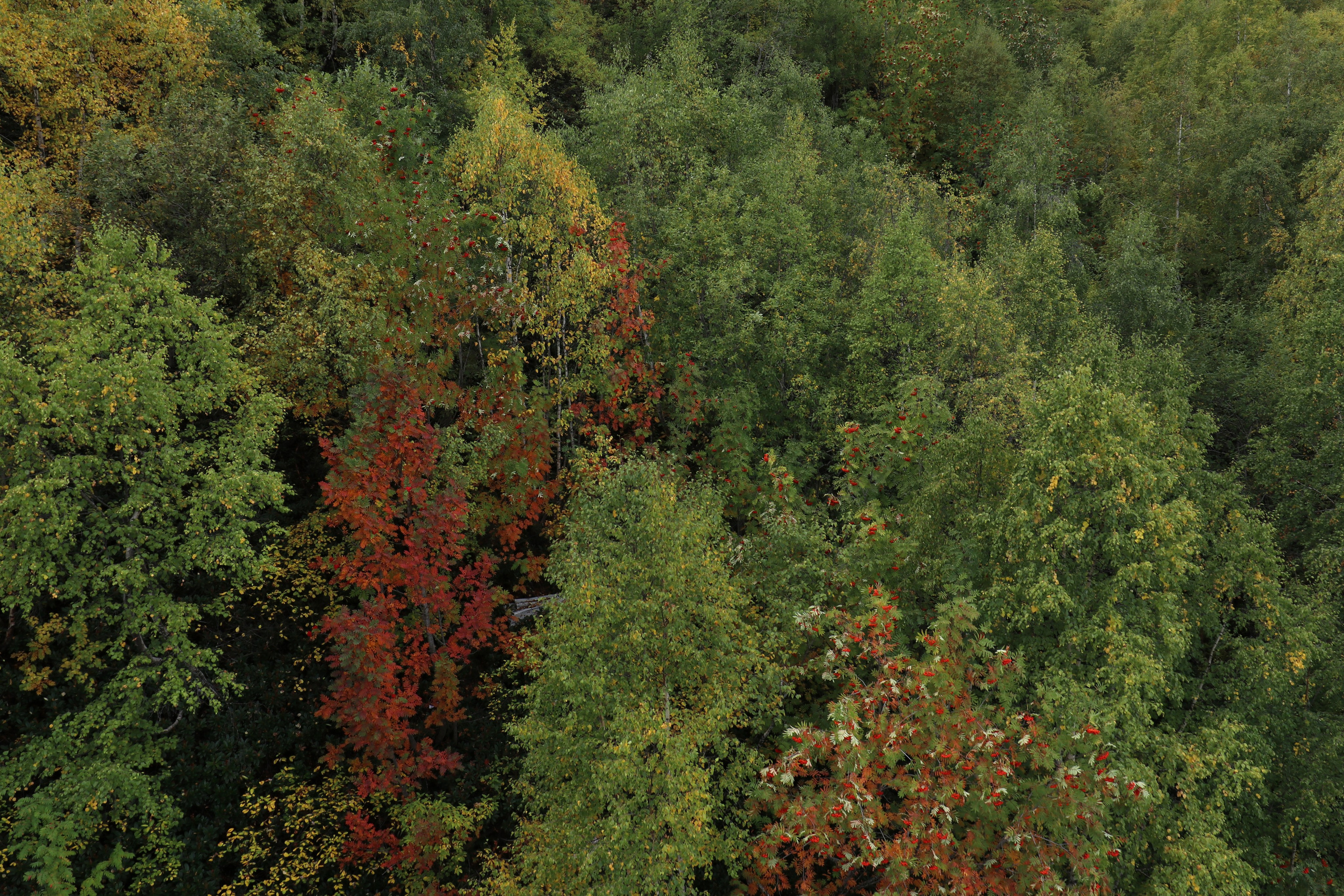 Приэльбрусье. Сентябрь 2024. Путешественник-фотограф из Санкт-Петербурга Татьяна Свистулина