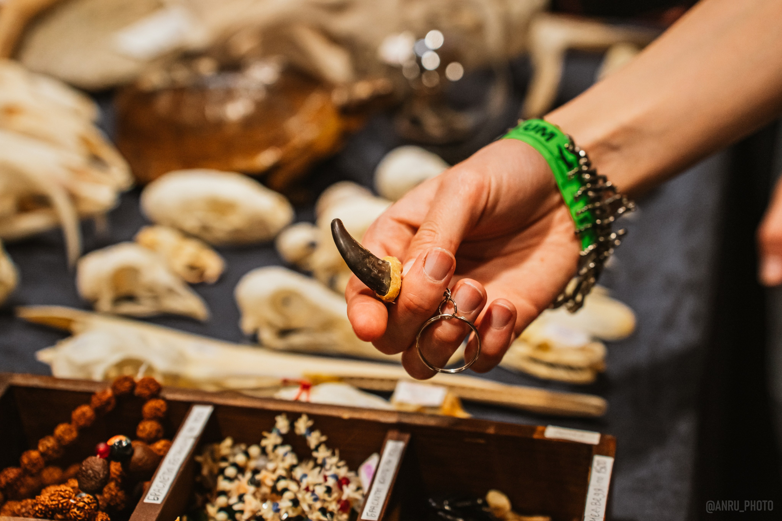 Рептилиум (ручная работа). Репортажный фотограф Анастасия Рубцова