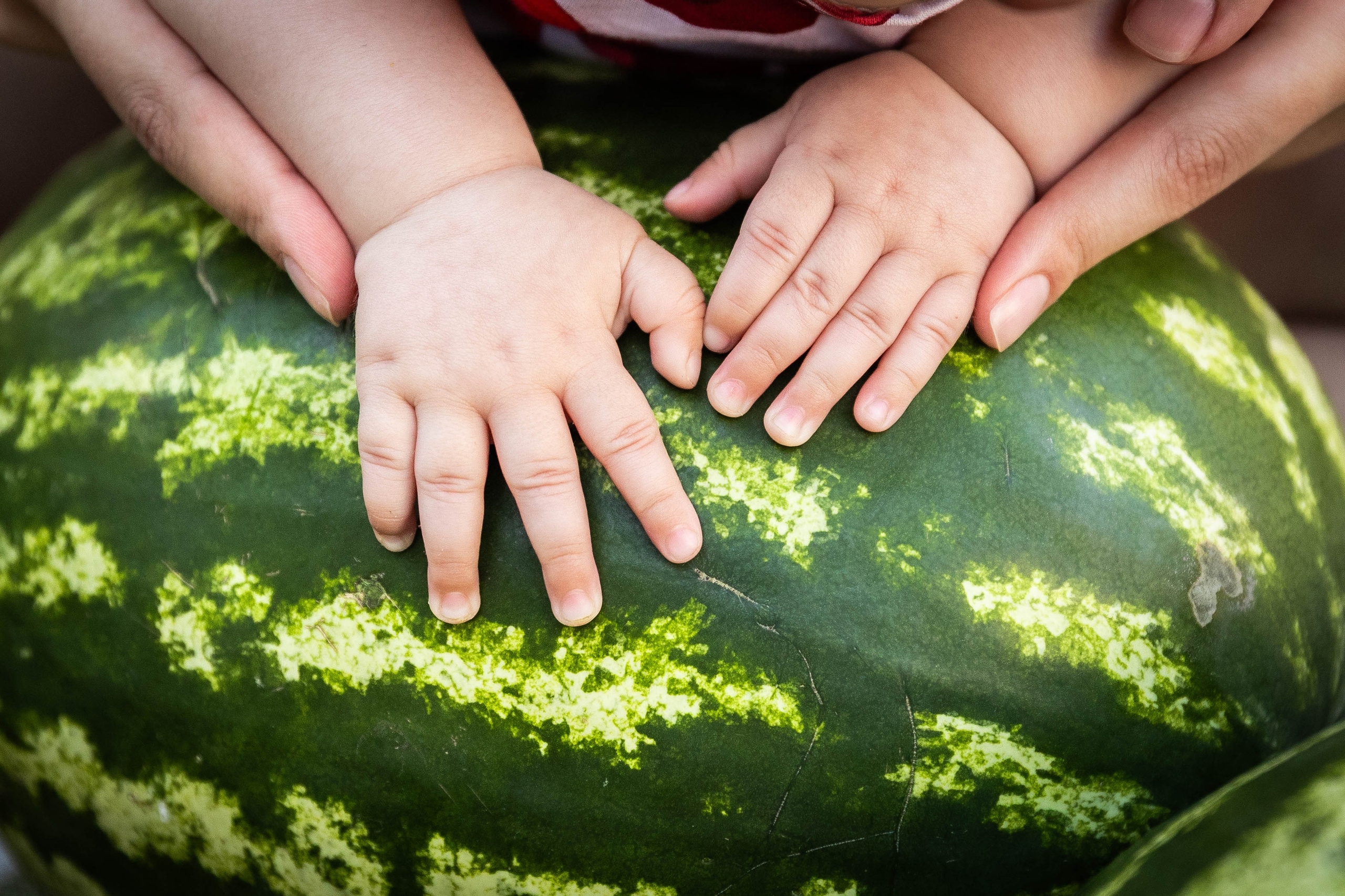 Анютка и арбузы. Фотограф-АниМалист Анна Абрамова