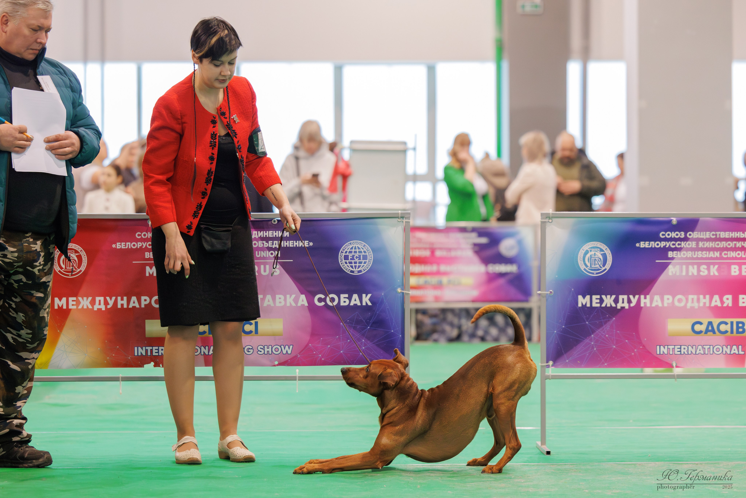 Минск 1-2.03.2025. Фотограф-анималист Юлия Германика