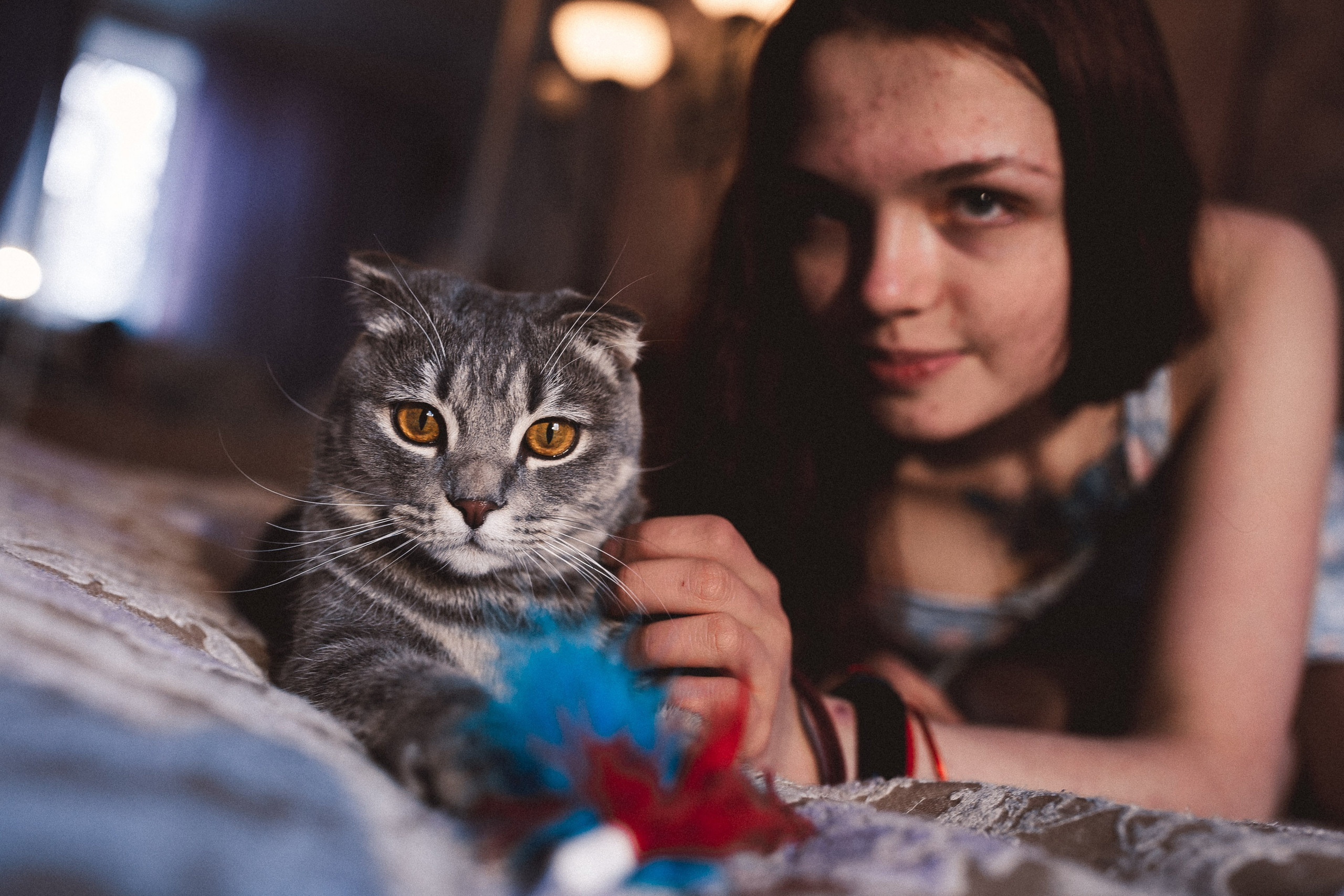 Ещё про любовь в кошкам. Сергей Ветер, фотограф в Краснодаре