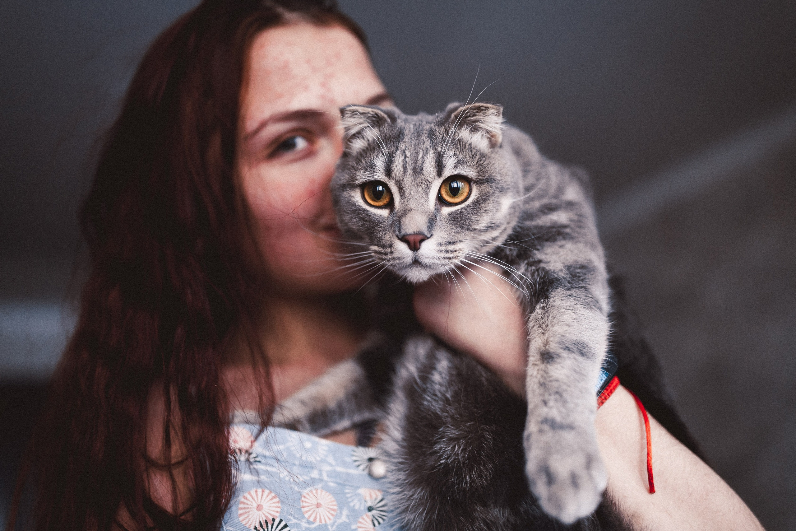 Ещё про любовь в кошкам. Сергей Ветер, фотограф в Краснодаре
