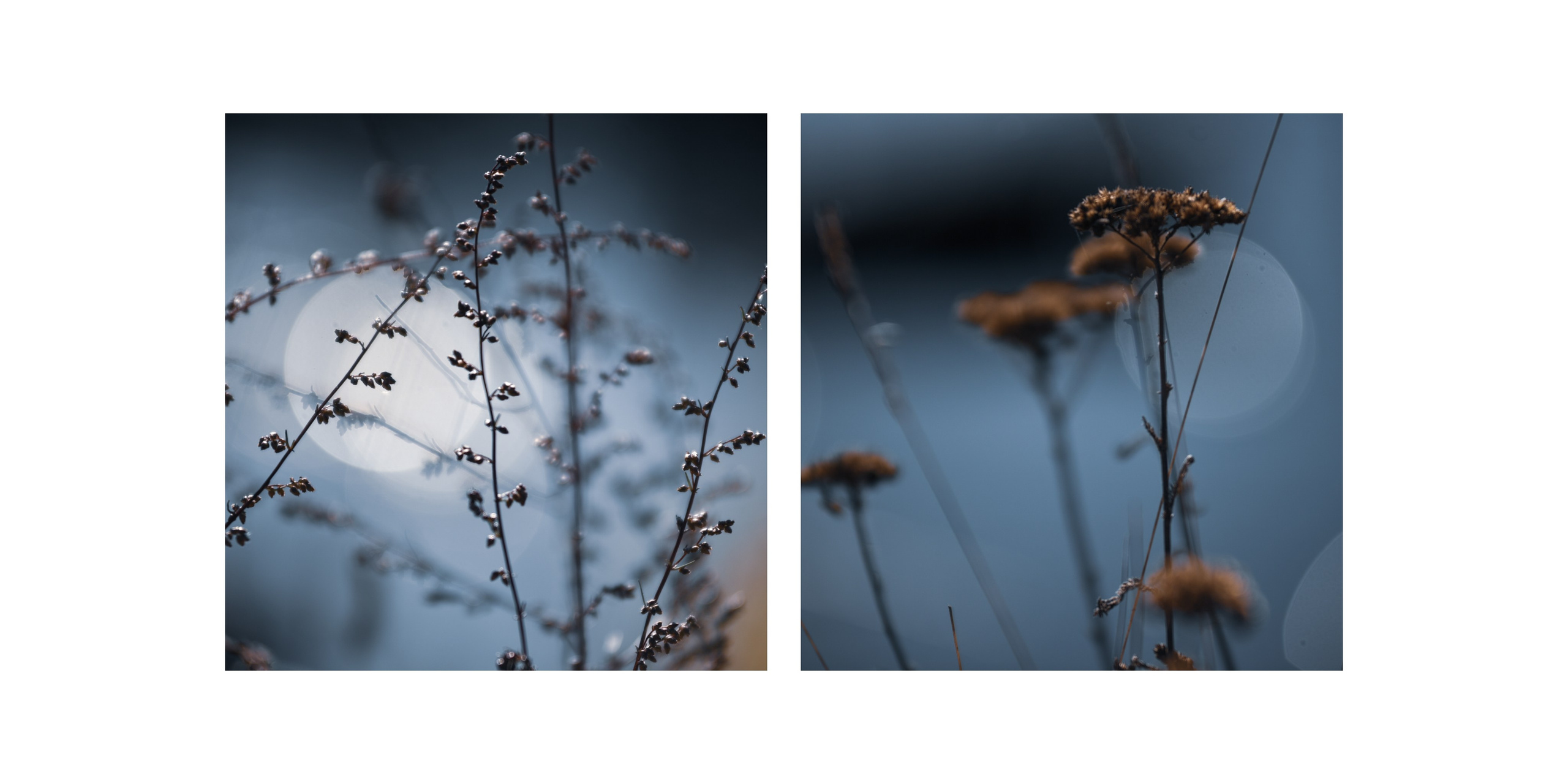 Services. Anastasia Serdyuk, travel photographer, travel photo, portraits, stories, fineart prints