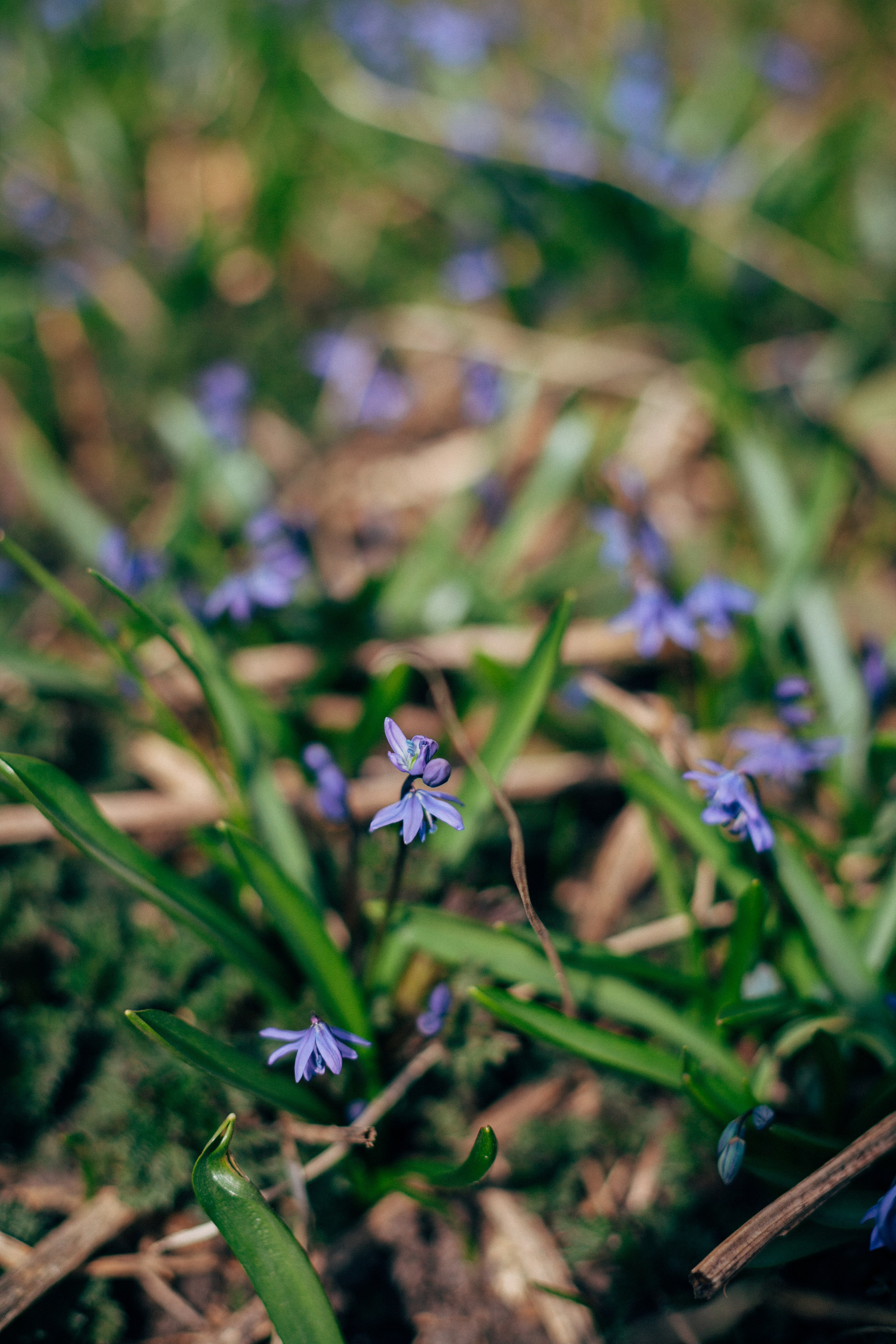 Ярославль. Аня Степанова