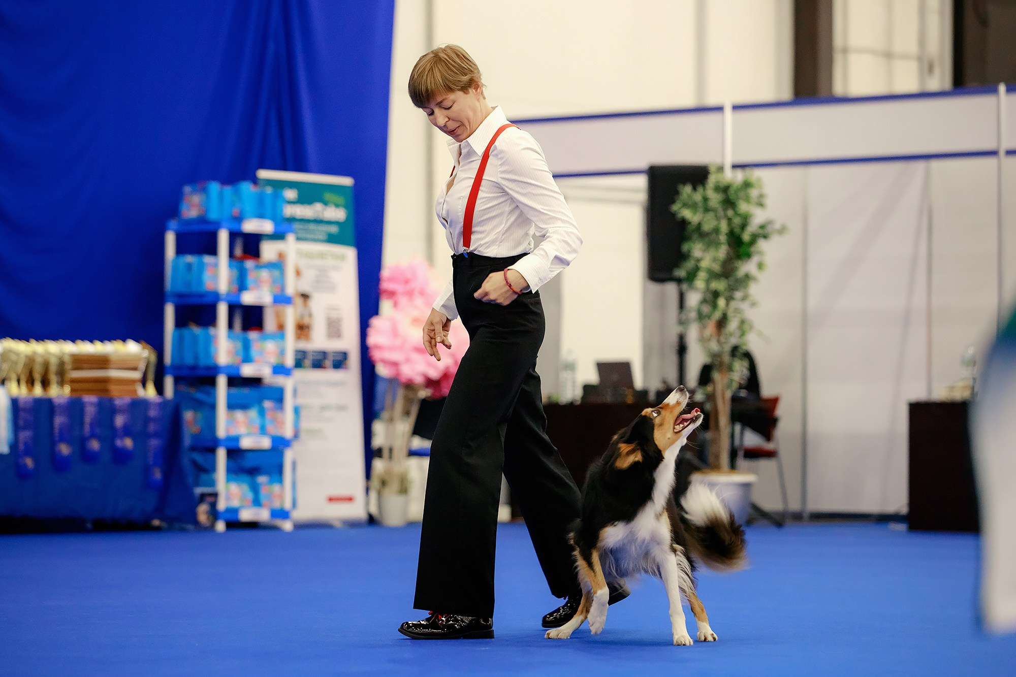 Танцы на выставке «Зоошоу», СПб. Фотограф-анималист Mary Mart — Москва, Питер
