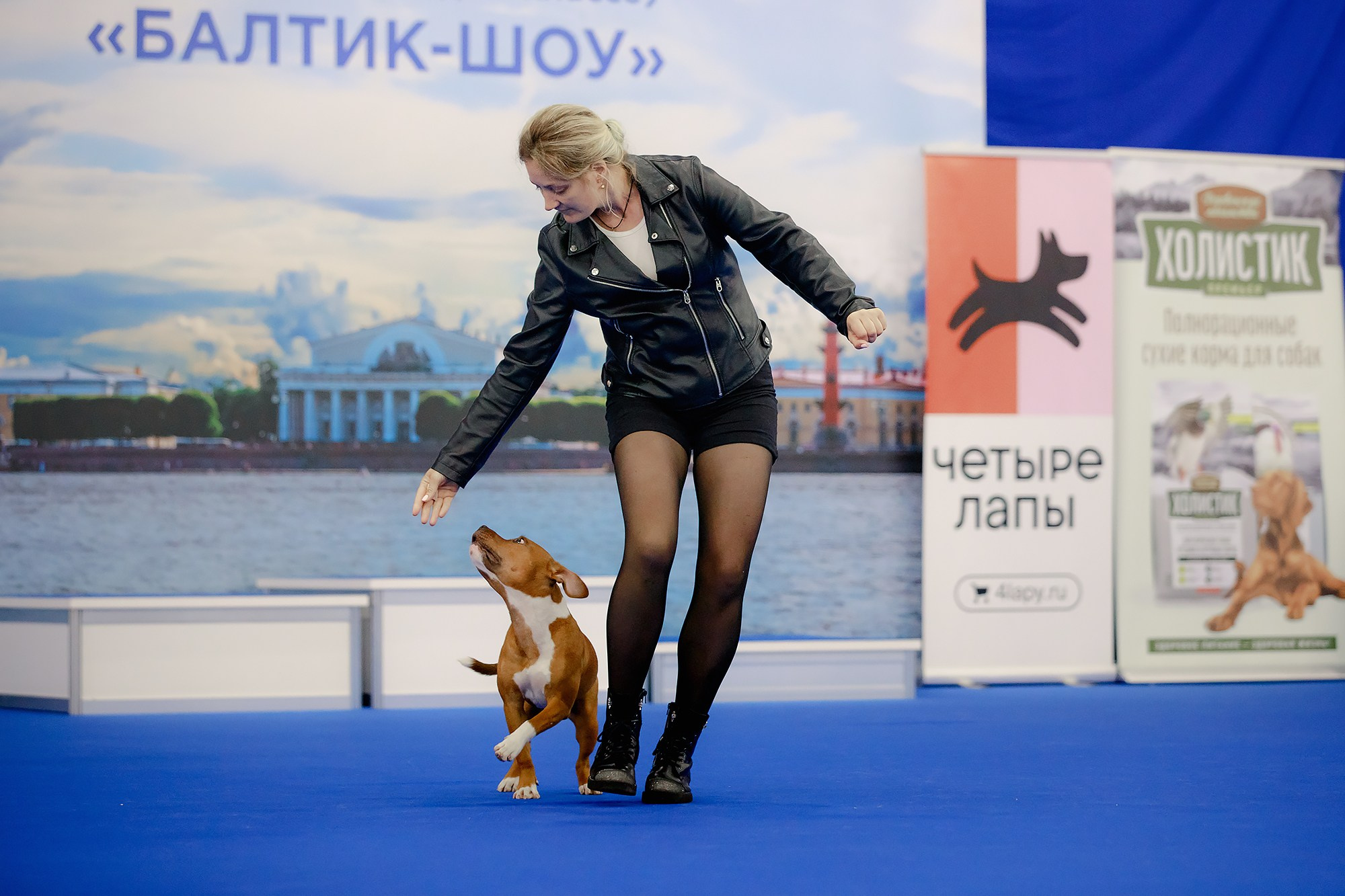 Танцы на выставке «Зоошоу», СПб. Фотограф-анималист Mary Mart — Москва, Питер