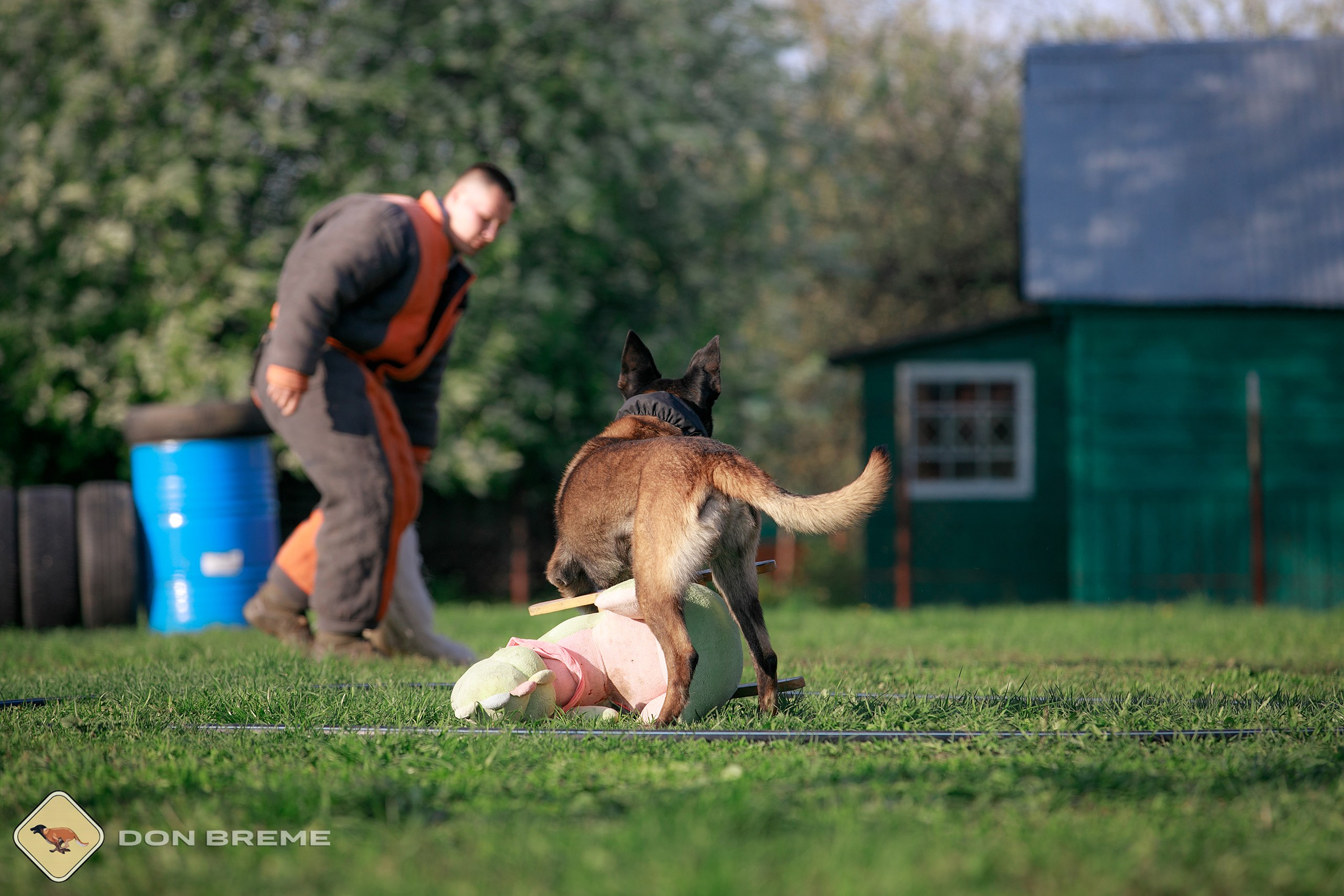 Семинар для фигурантов, день 4. Фотограф-анималист Mary Mart — Москва, Питер