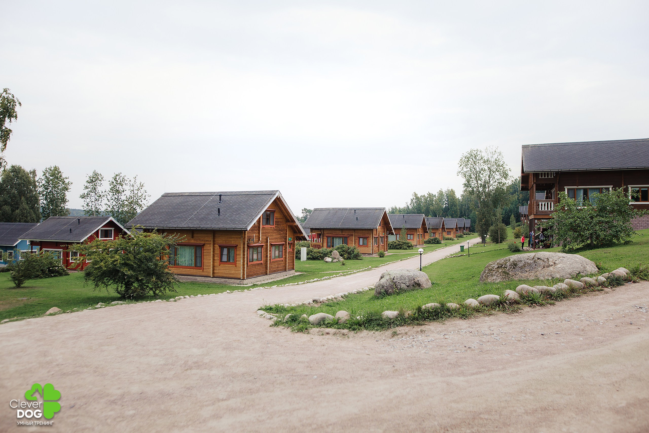 Кинологический лагерь CleverDog, 2024. Фотограф-анималист Mary Mart — Москва, Питер