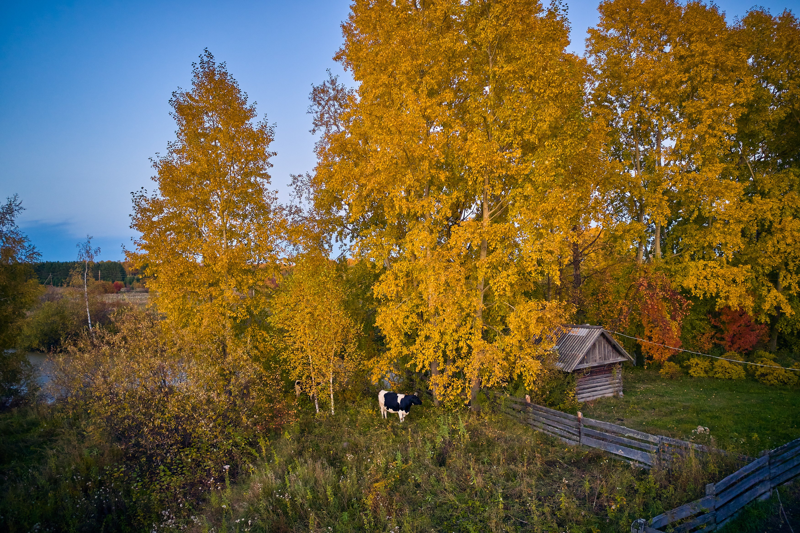 Фото с птичьего полета. DMITRY MOISEENKO — фотограф, художник, топ-стилист