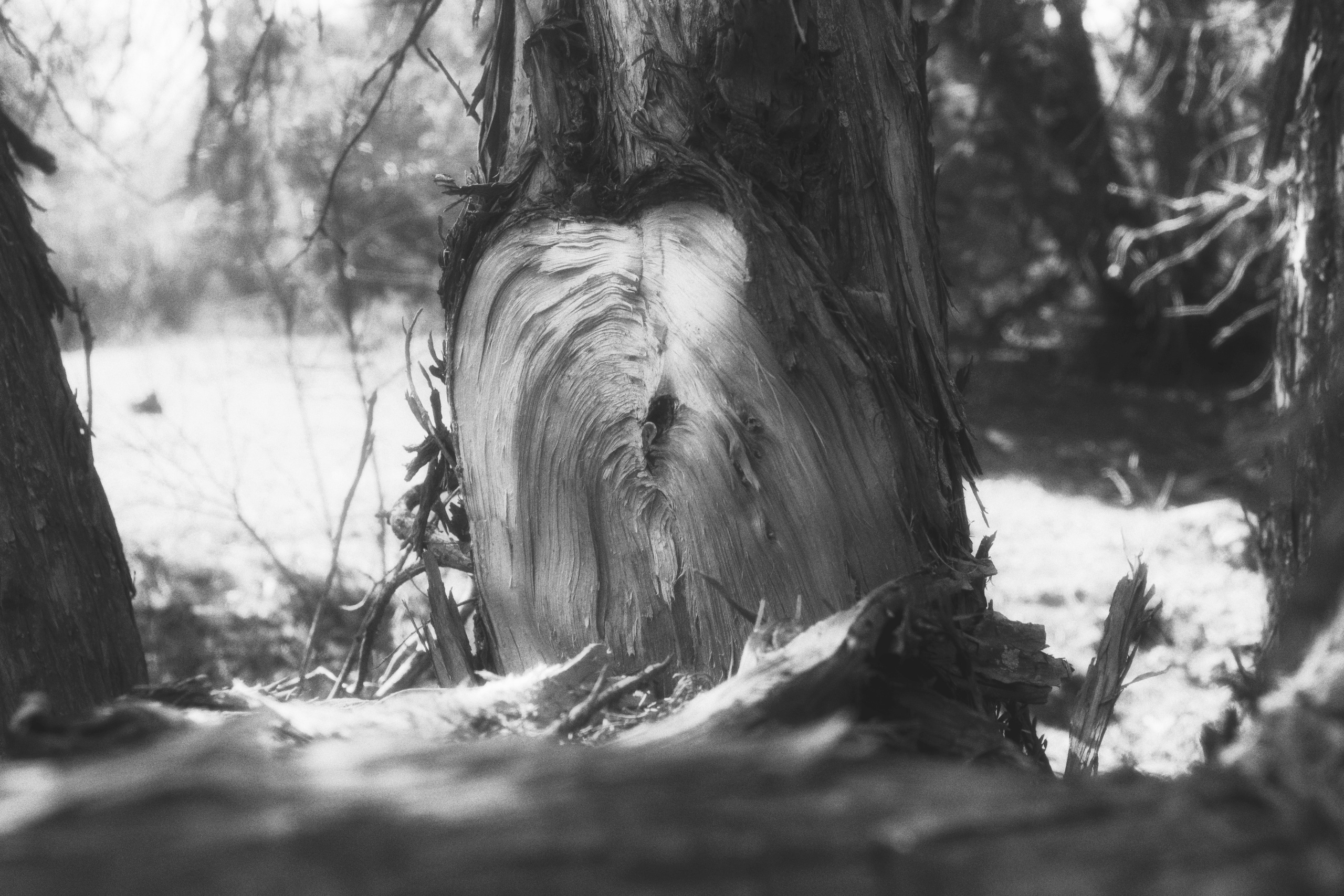 Alamedin valley / Kyrgyzstan 2024. POLINA MÔMOT