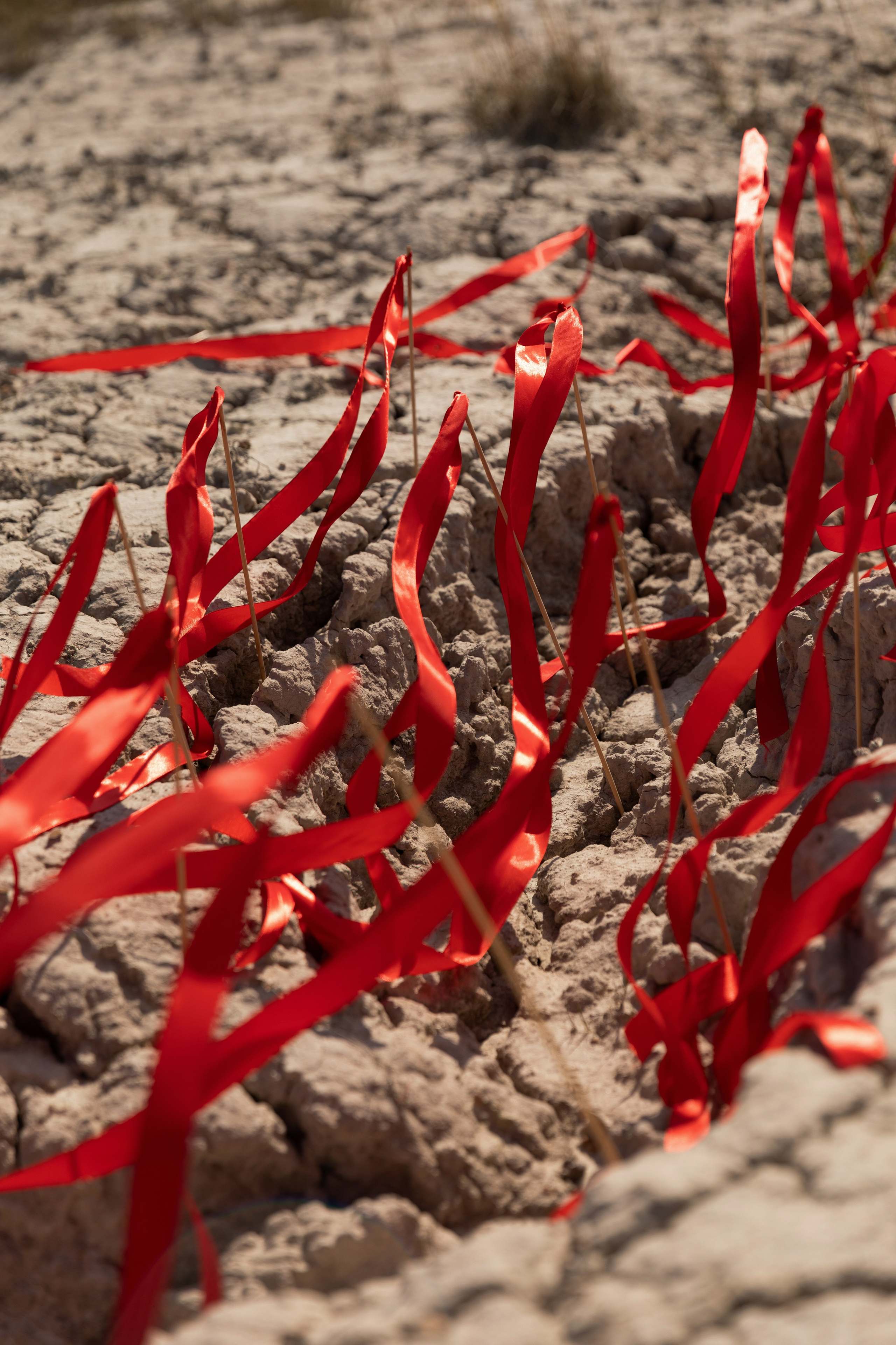 Александра «Red ribbons». Фотограф Мария Щеголькова. Чувственный женский портрет