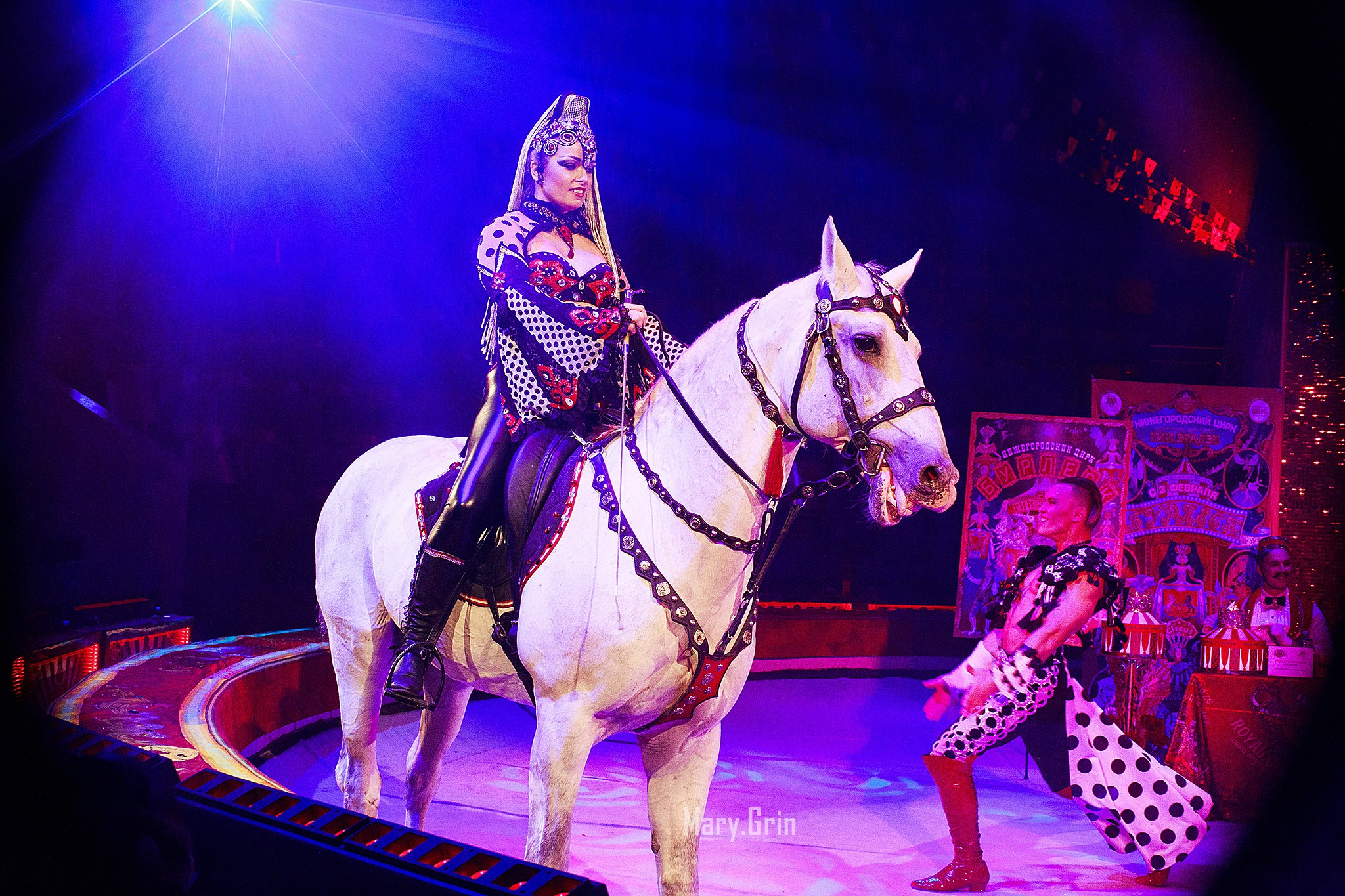 Цирк Гии Эрадзе. Детский и семейный фотограф, фотограф мероприятий Нижний Новгород