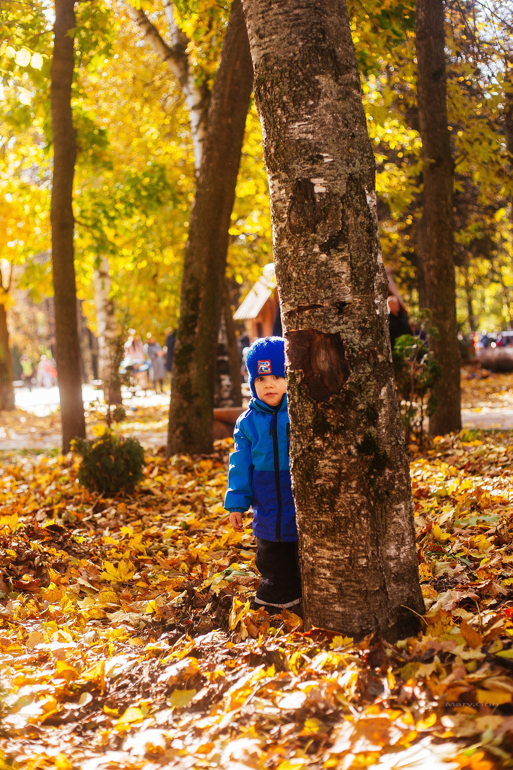Осень в парке. Детский и семейный фотограф, фотограф мероприятий Нижний Новгород