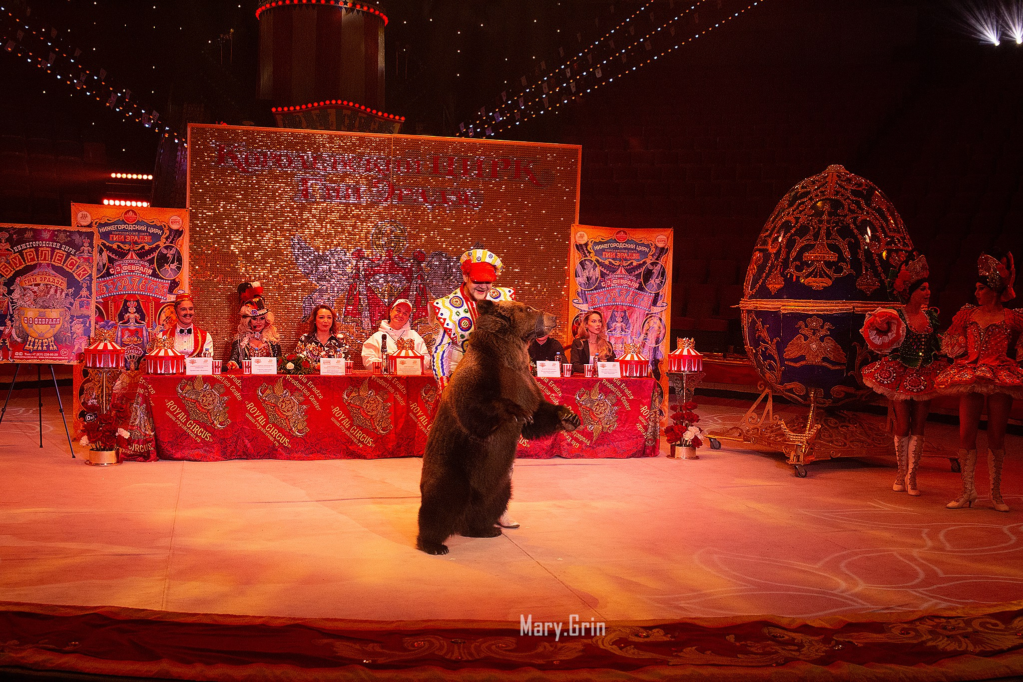 Цирк Гии Эрадзе. Детский и семейный фотограф, фотограф мероприятий Нижний Новгород
