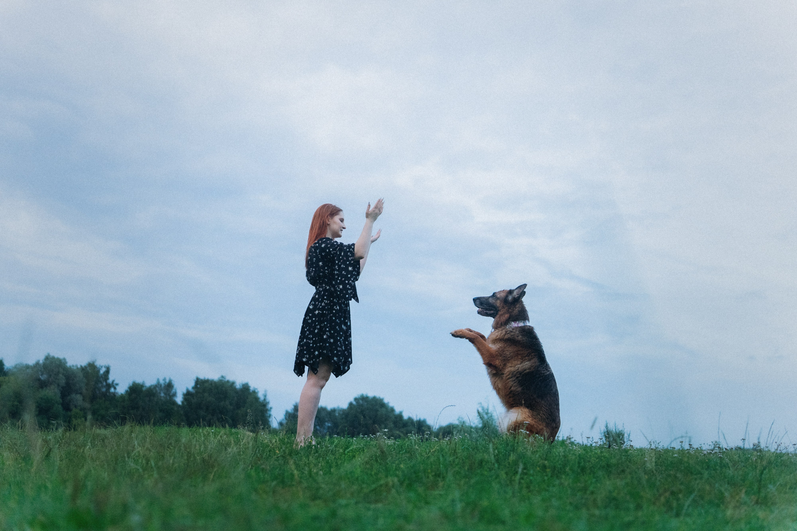 Вика и Фрея. Фотограф анималист в Москве и Санкт-Петербурге Свиридова Анна