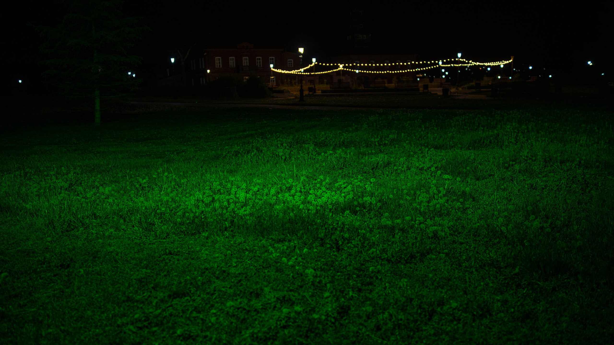 2025 05 Свияжск. Фотографии