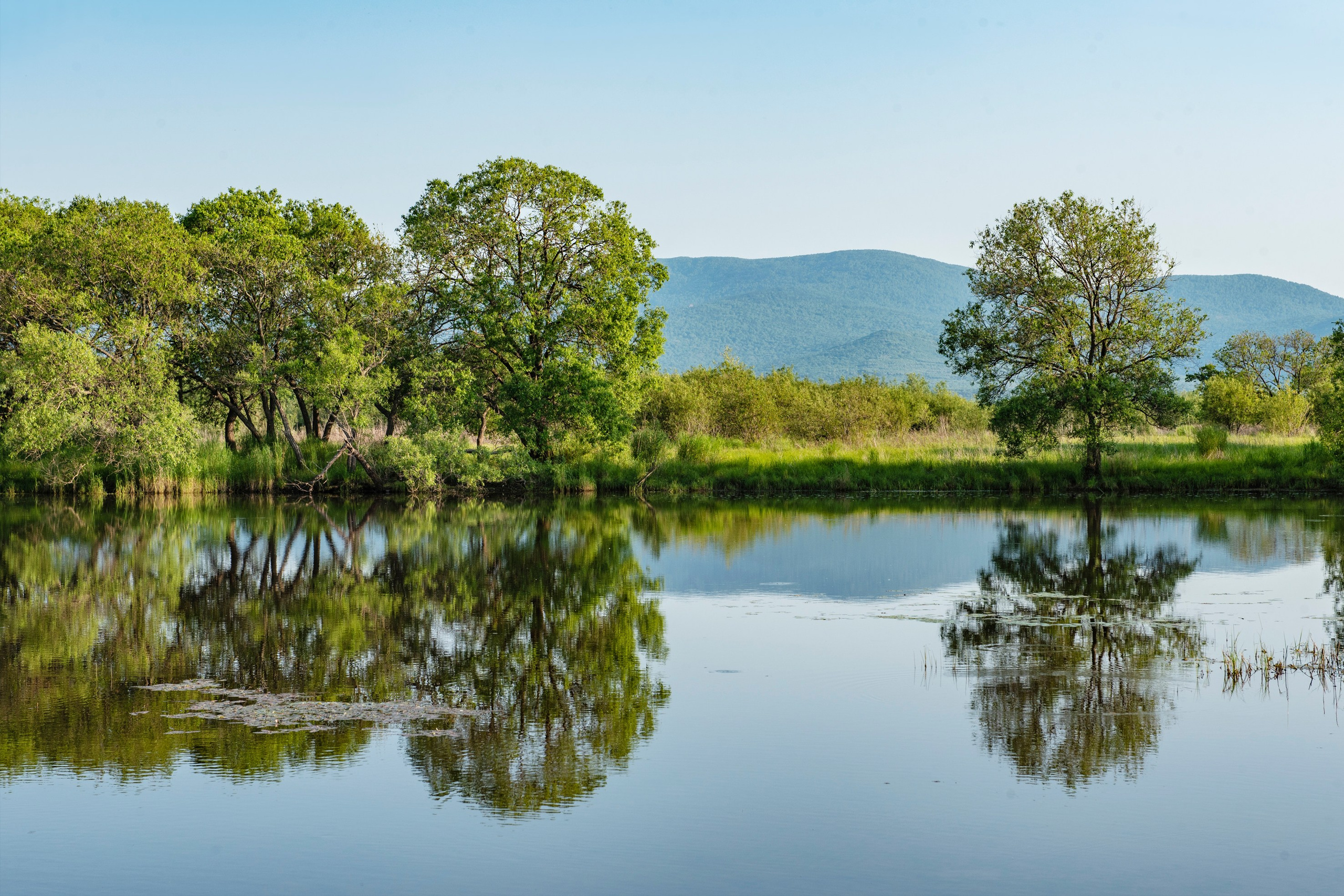 Природа Хабаровского края. Команда фотографов Кристины Ивановой