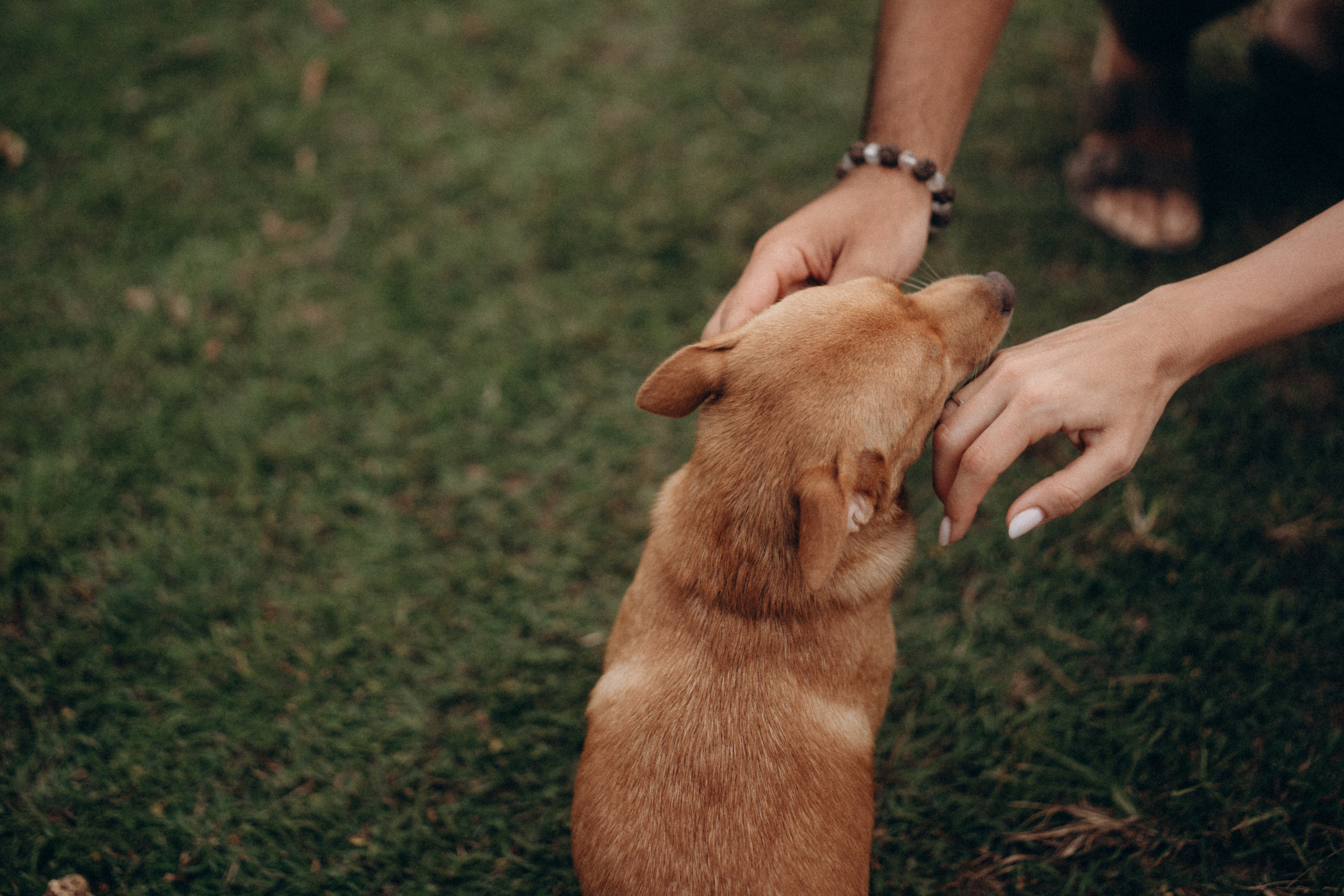Саша и Лев. Ольга Антипова — фотограф