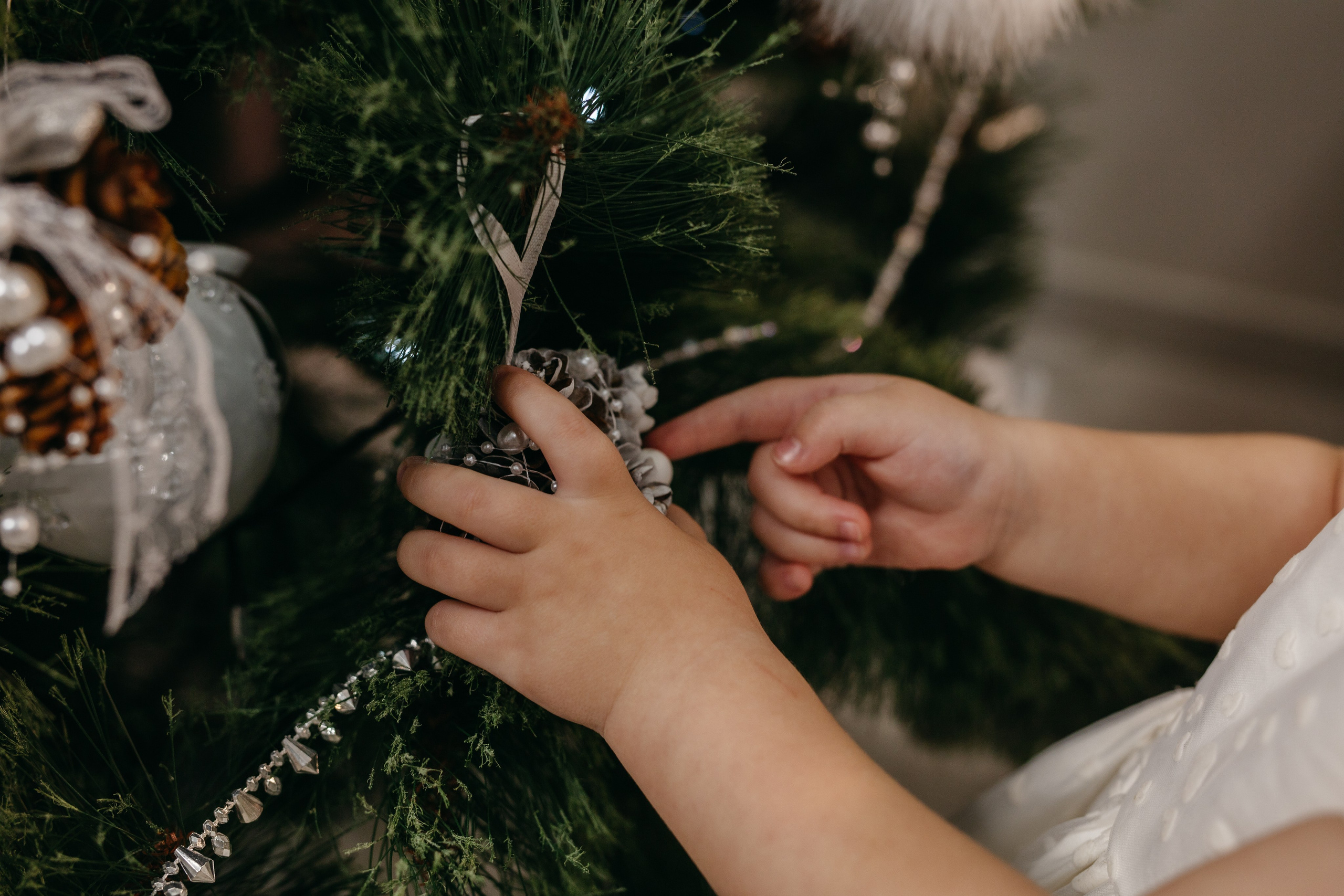 Новогодняя домашняя. Свадебный и женский фотограф