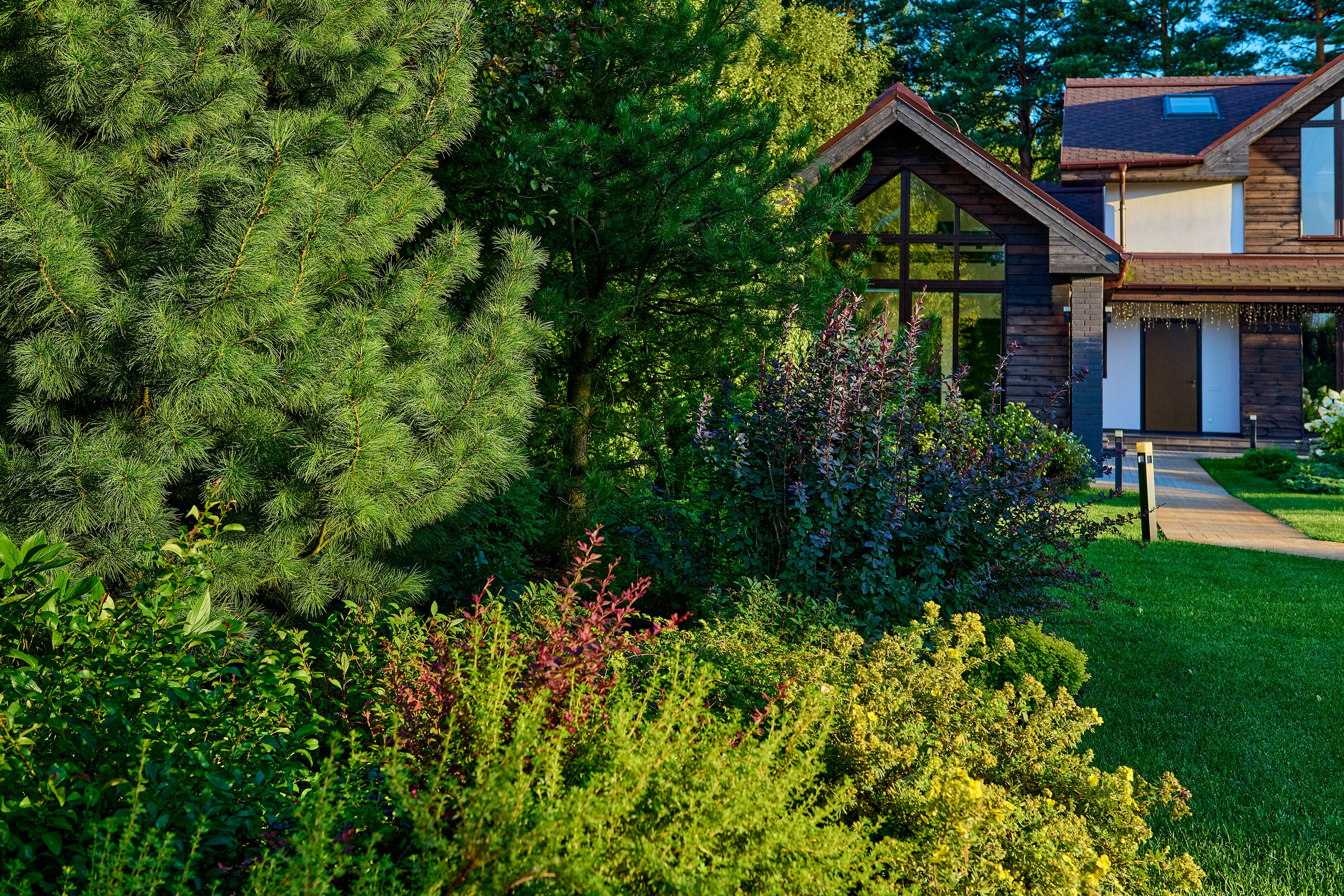 Фотосъёмка ландшафтных рабт