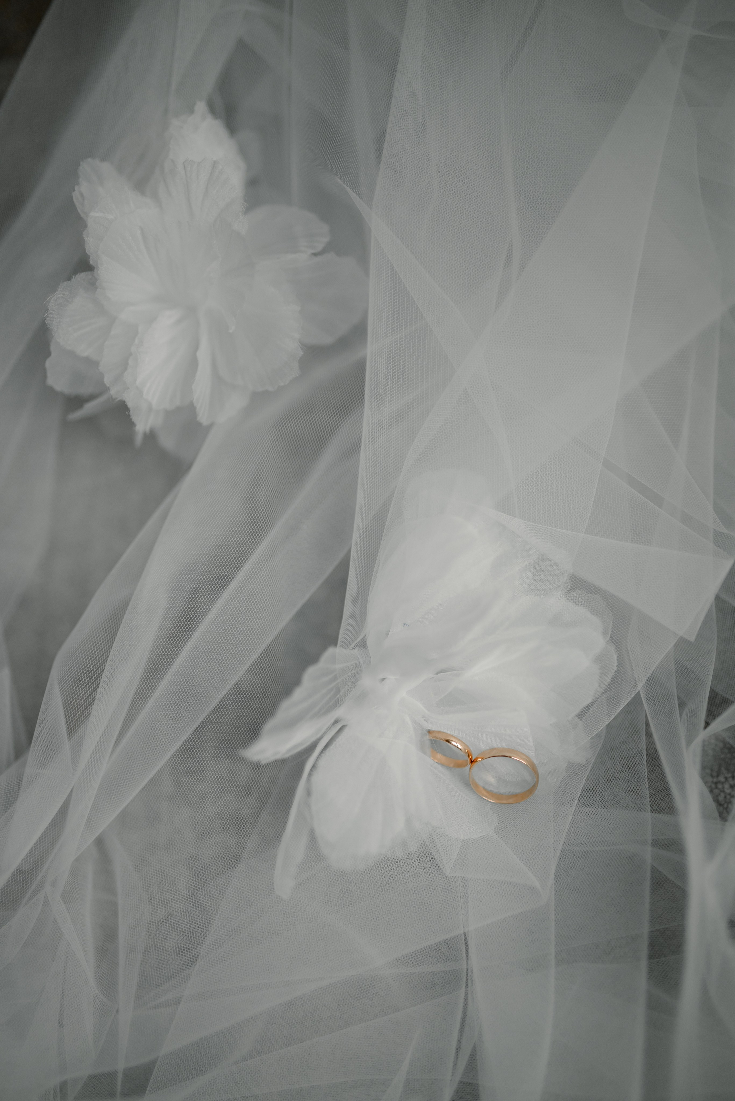 Фотограф Анна Абрикосова