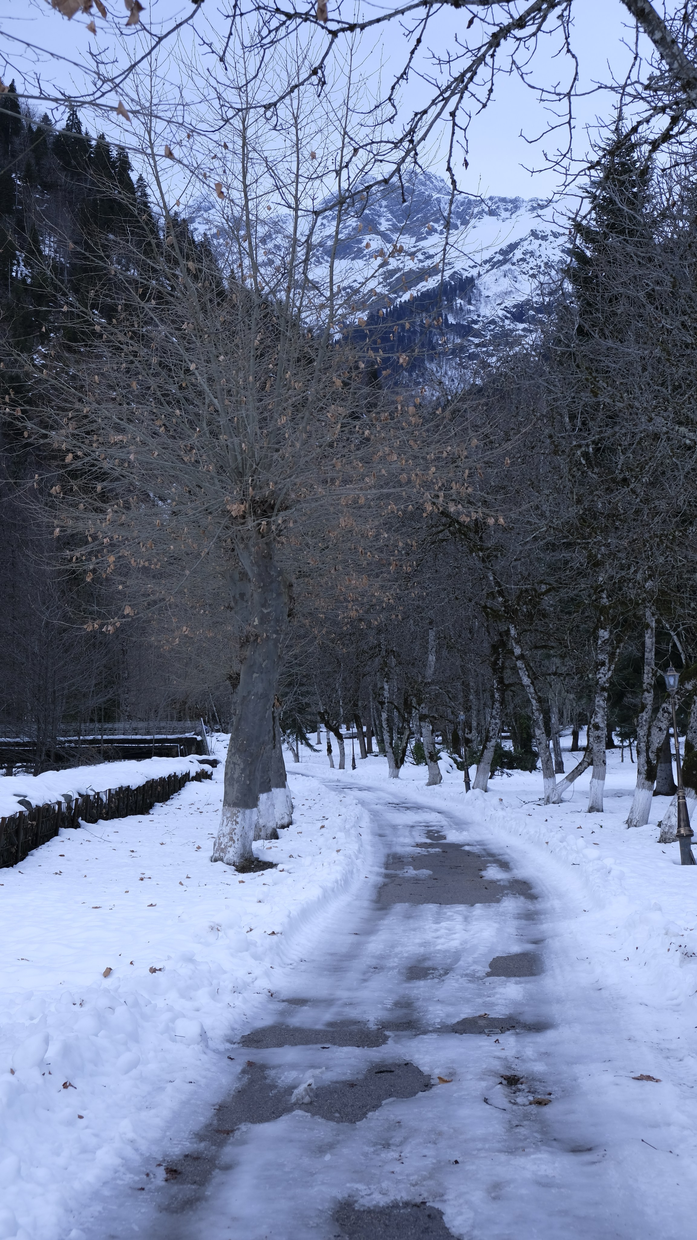 Сталинская дача на Рице зимой. Главная