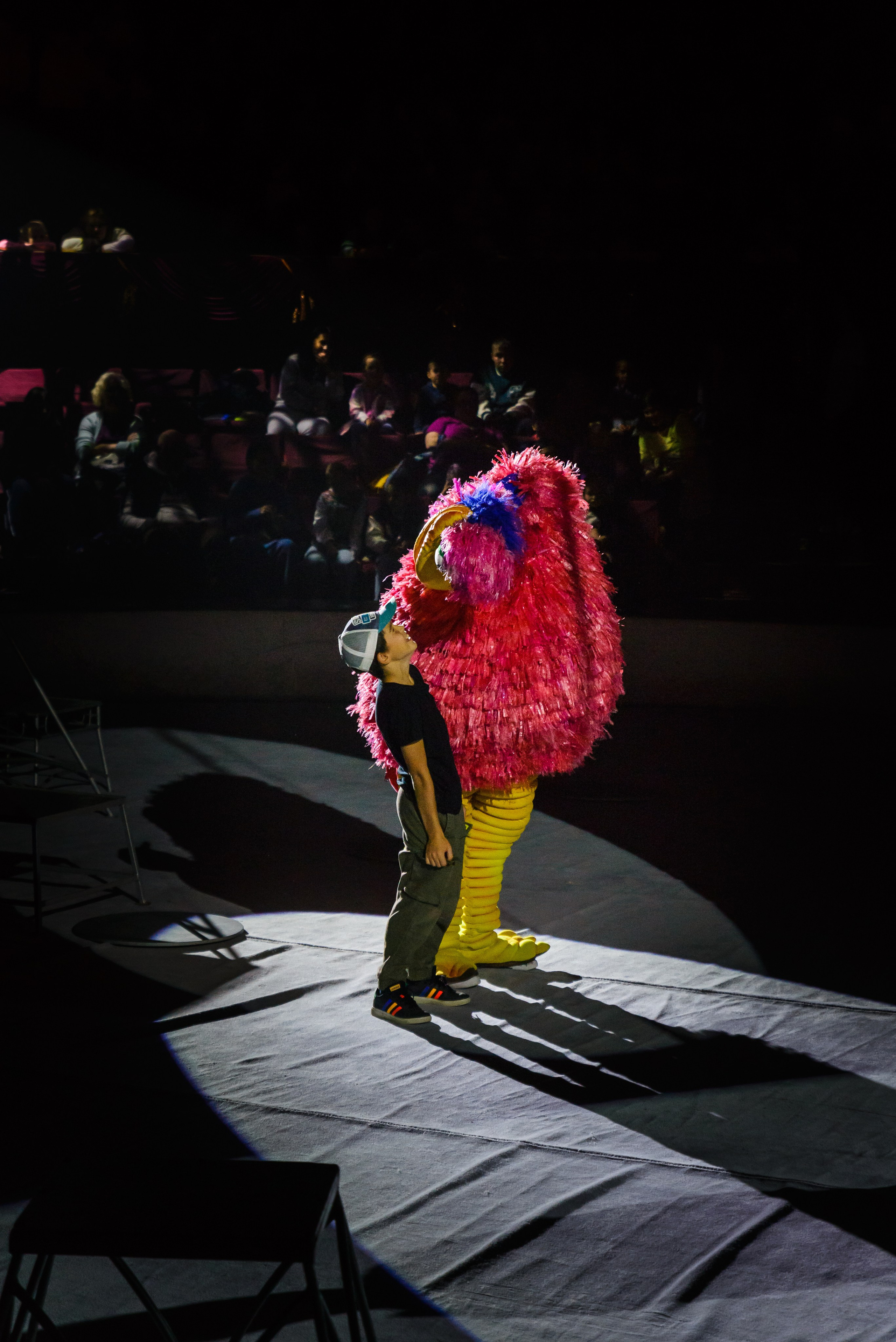 Пермский государственный цирк. Фотограф в Ханты-Мансийске Евгений Жуланов