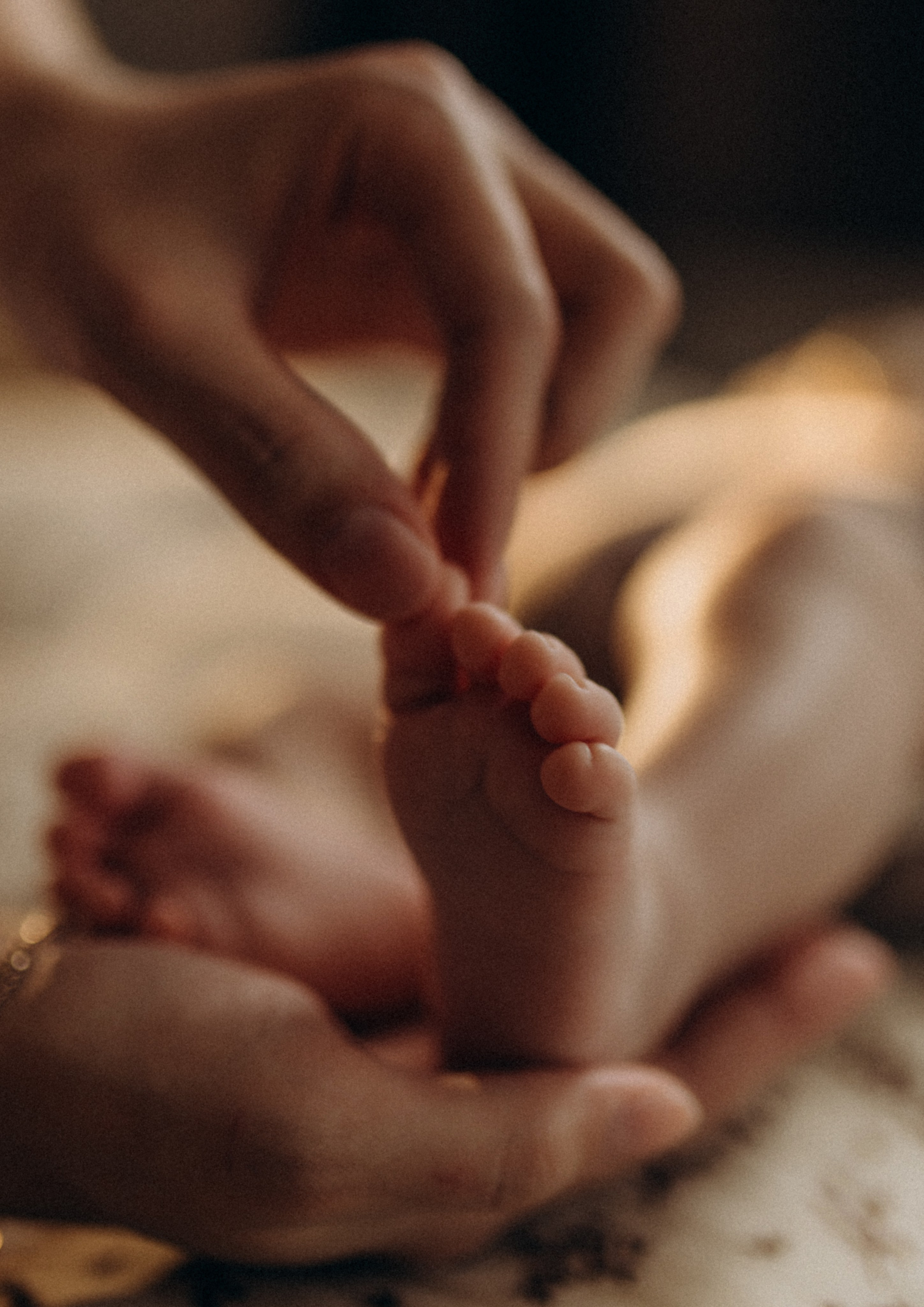 София и Леон. Услуги