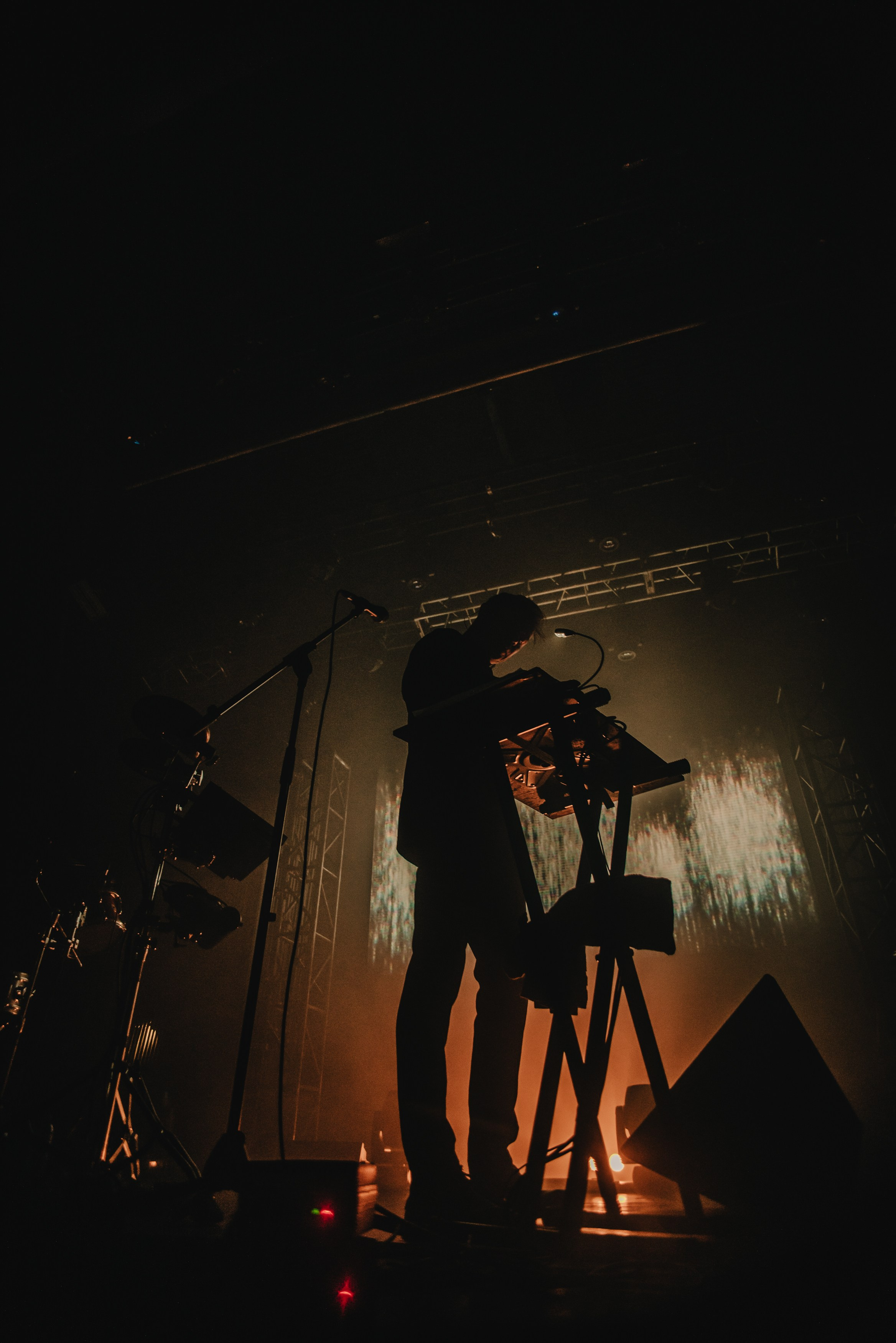 Дельфин | Gaudi. Контент фотограф Илья Урс