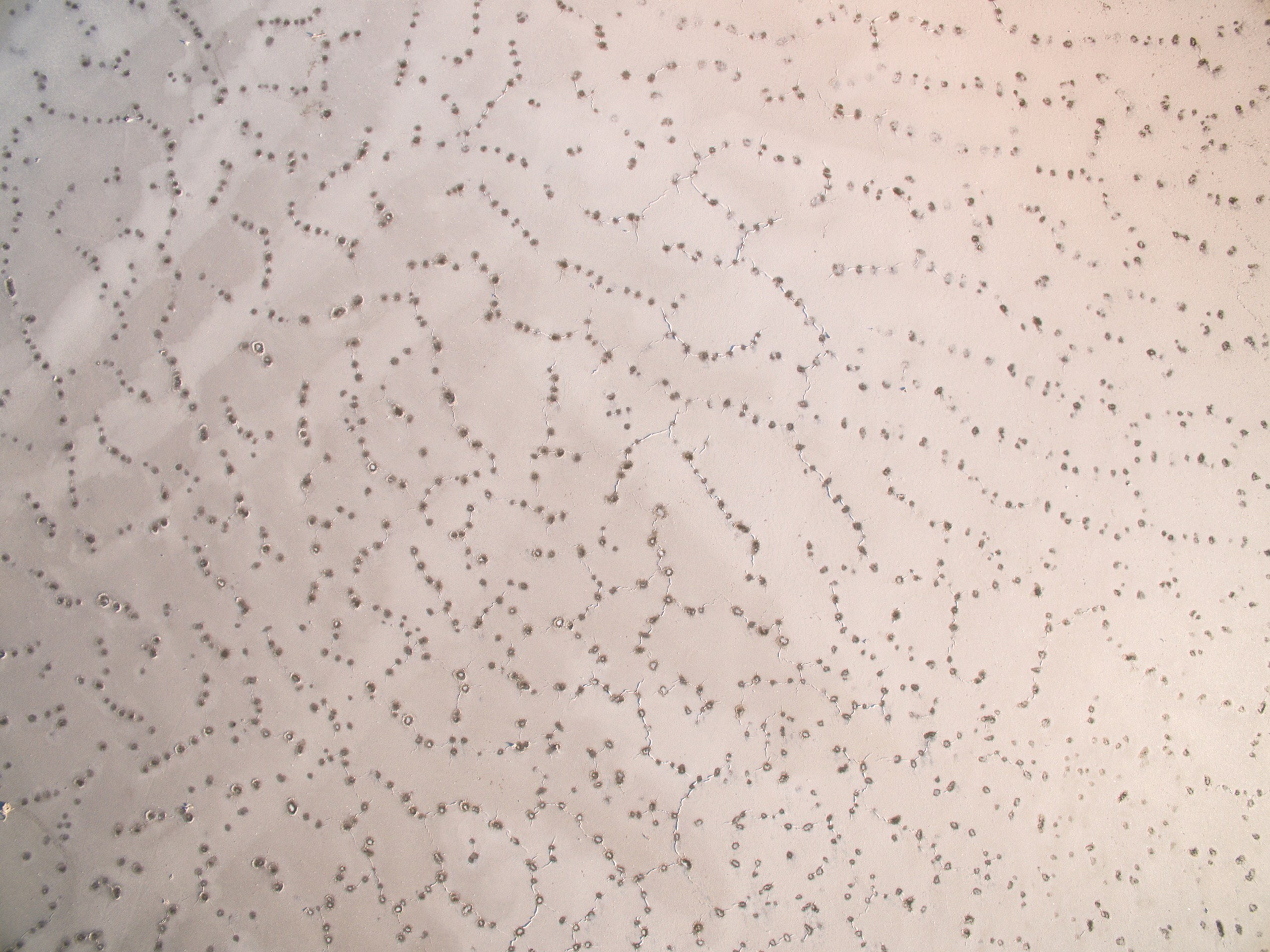 Озеро Эльтон. Фотограф Владимир Медведев