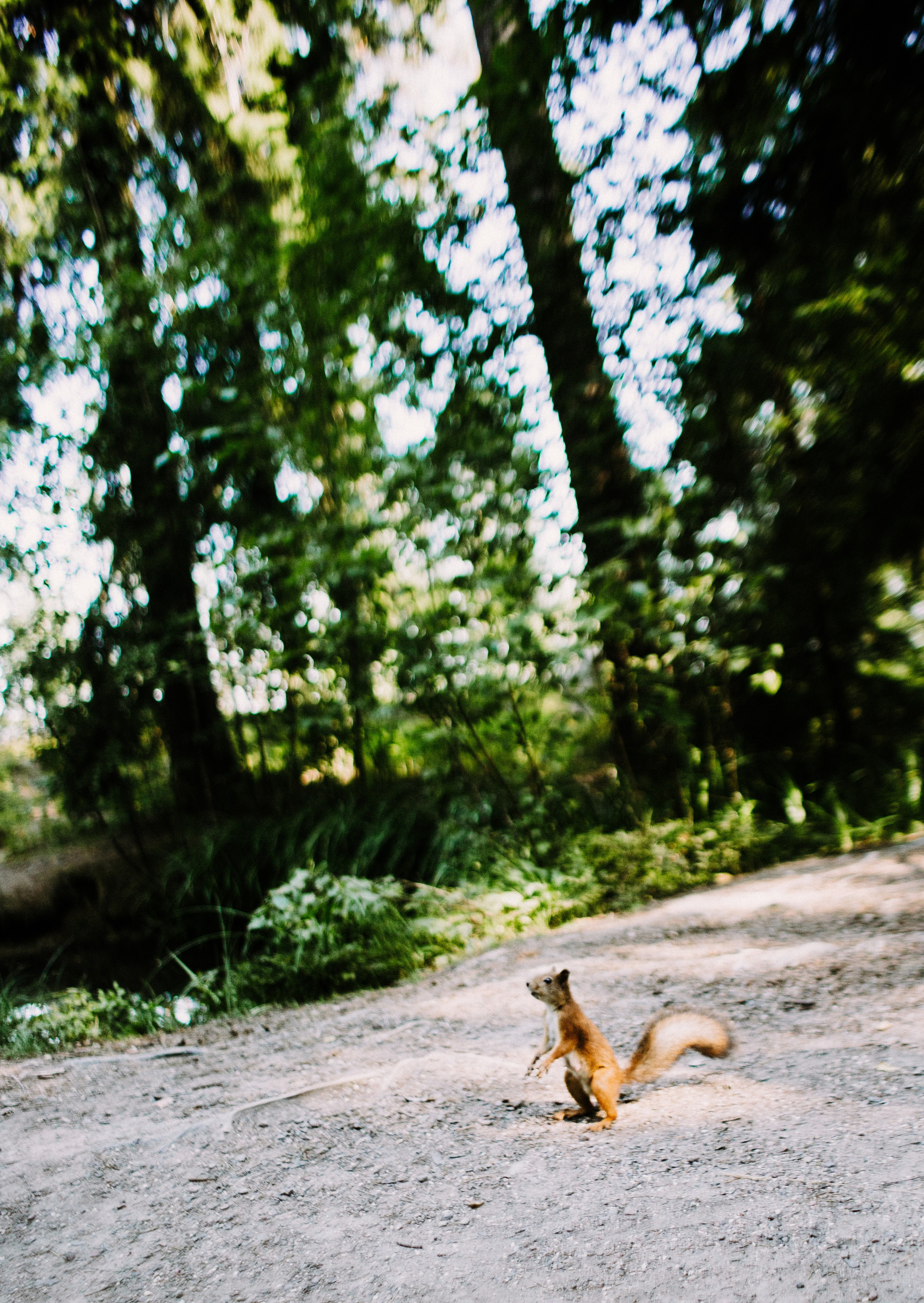 Питер 2022. Фотограф в Нижнем Новгороде