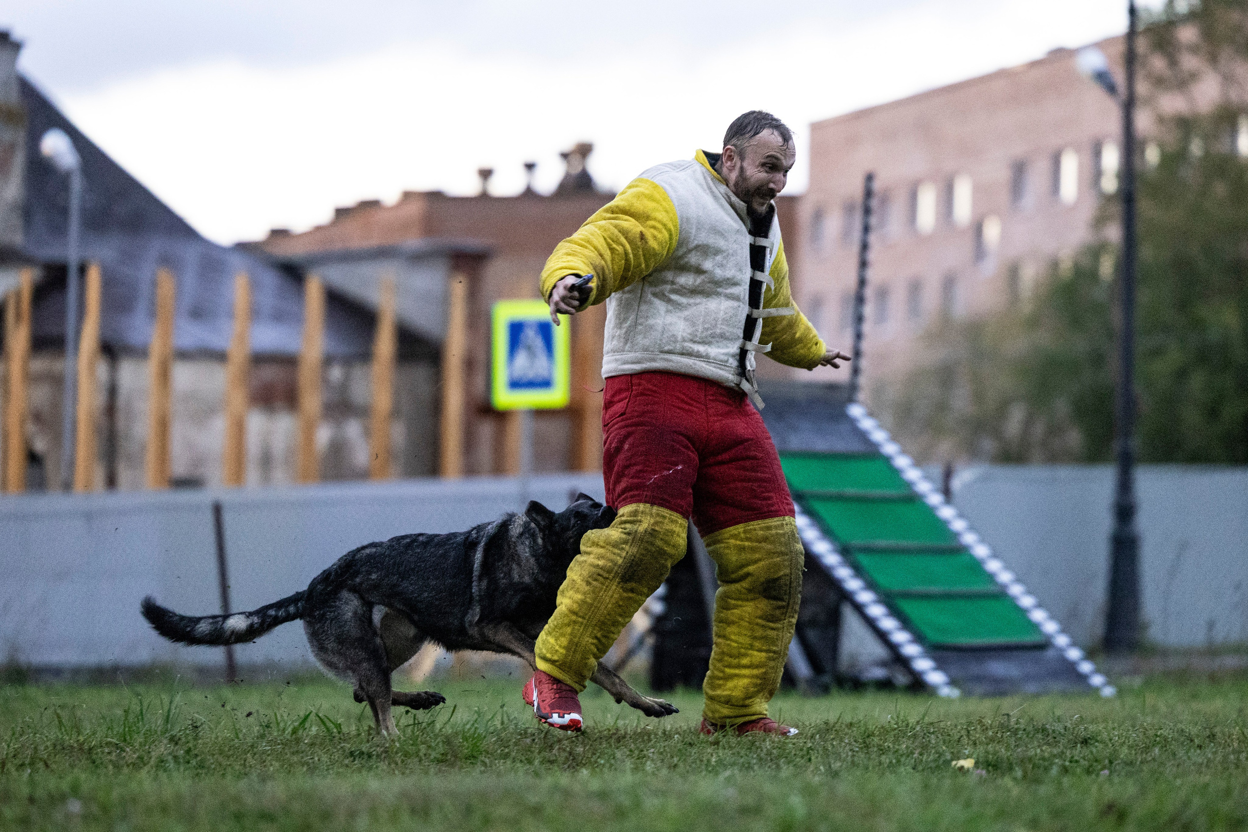 Испытания по Мондьорингу г. Пушкин. Фотограф-анималист Анна Маринич