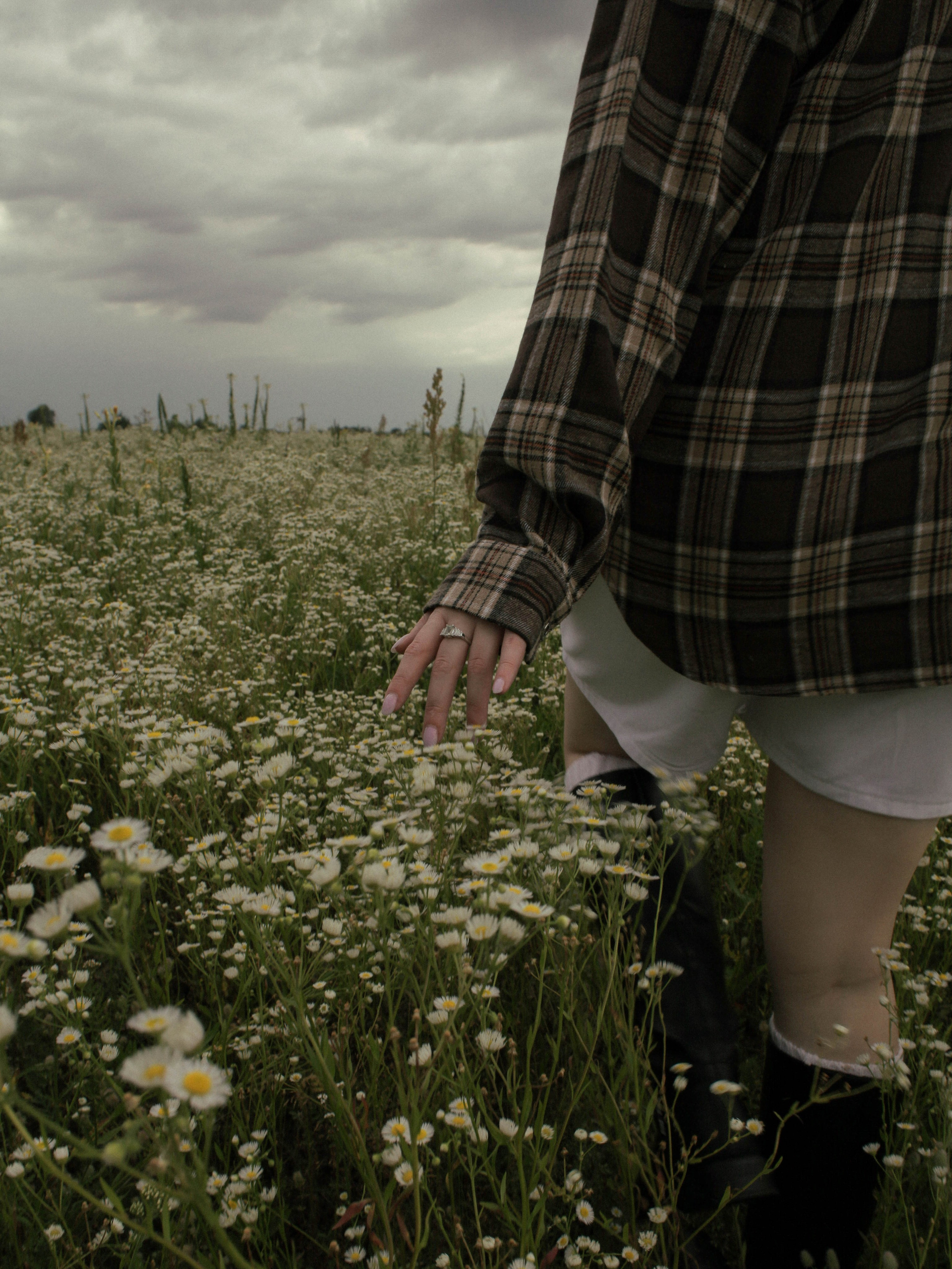 Дарья | Chamomile field. Селивантьева Кира | Фотограф в Москве и МО