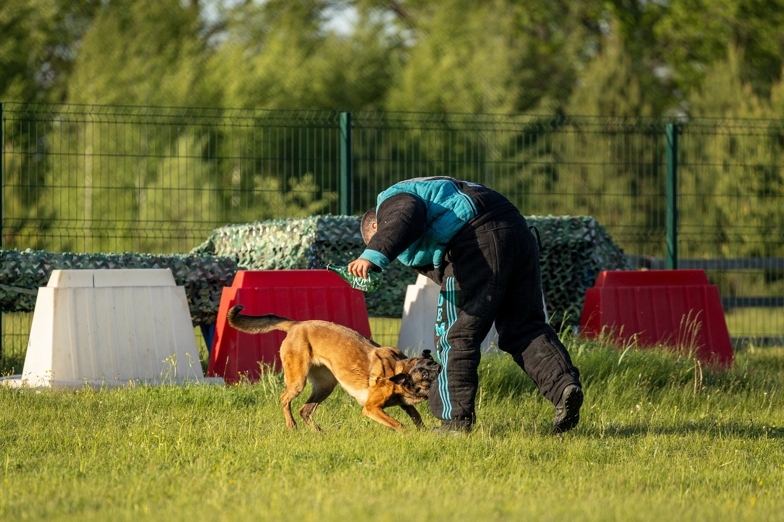 Испытания по мондьорингу в Нижнем Новгороде. Фотограф-анималист Анна Маринич