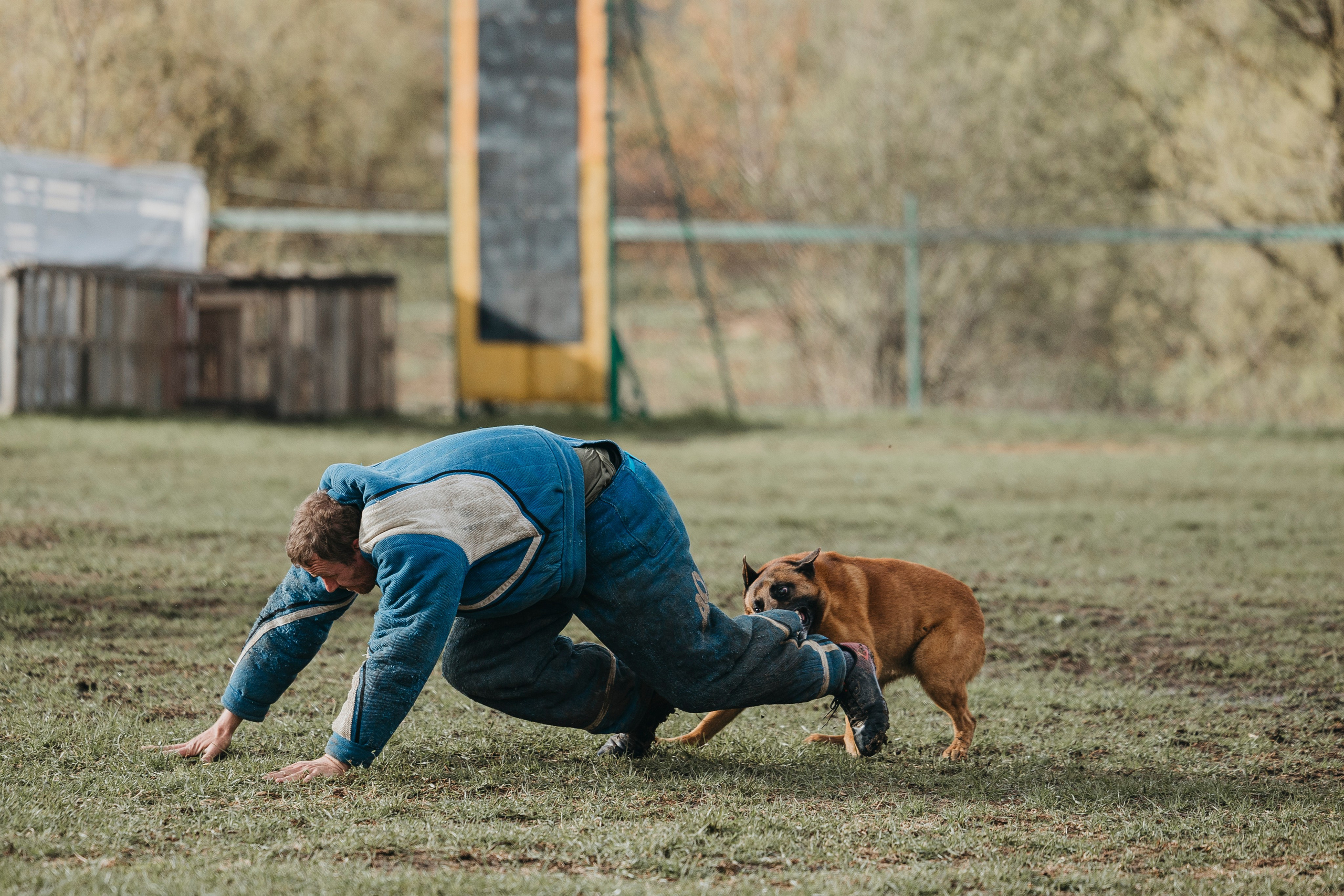 09.05.25 Вологда соревнования. Фотограф-анималист Анна Маринич