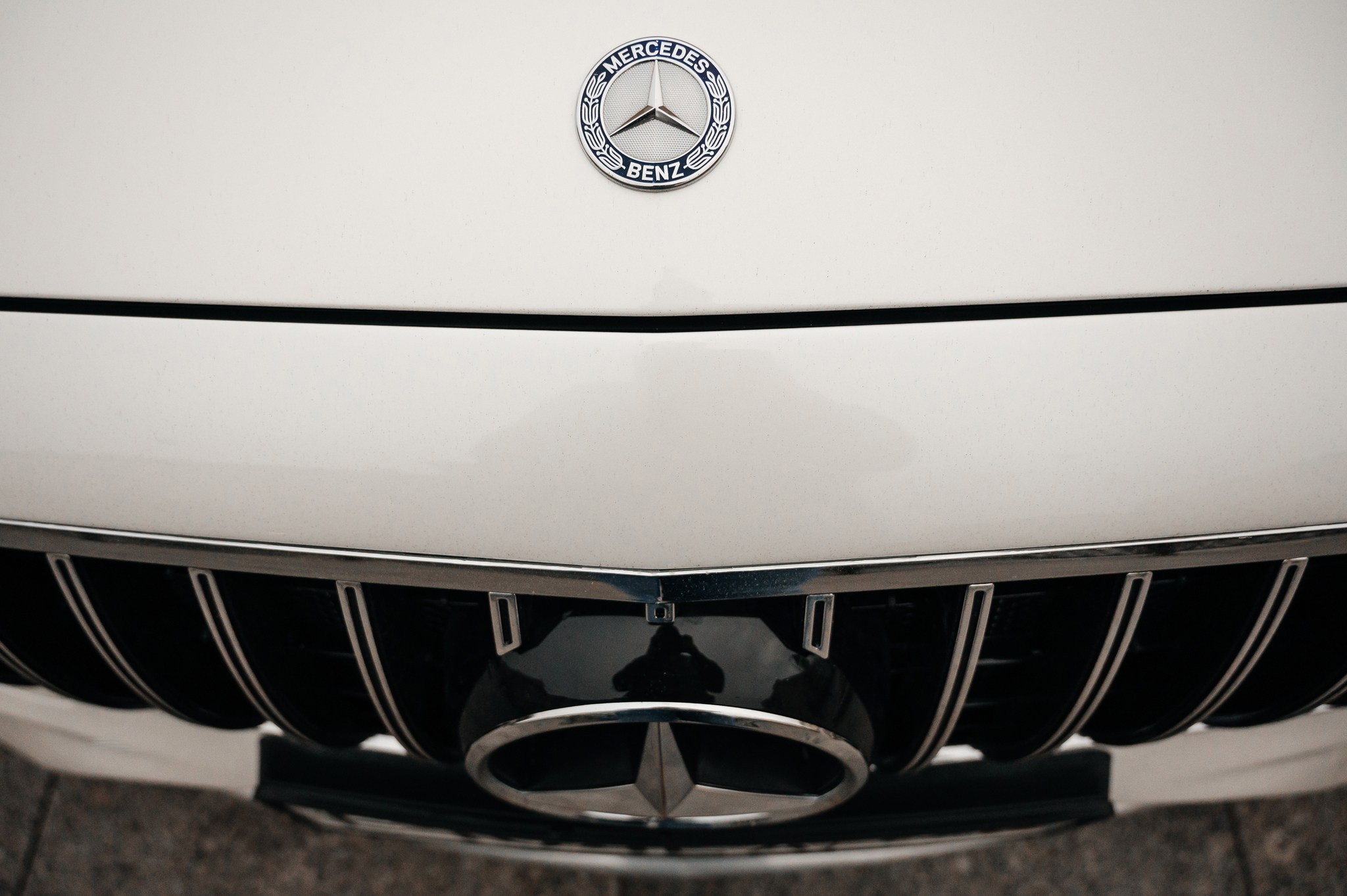 Оранжерея Таврического сада. Свадебный и семейный фотограф из Санкт-Петербурга Климов Анатолий