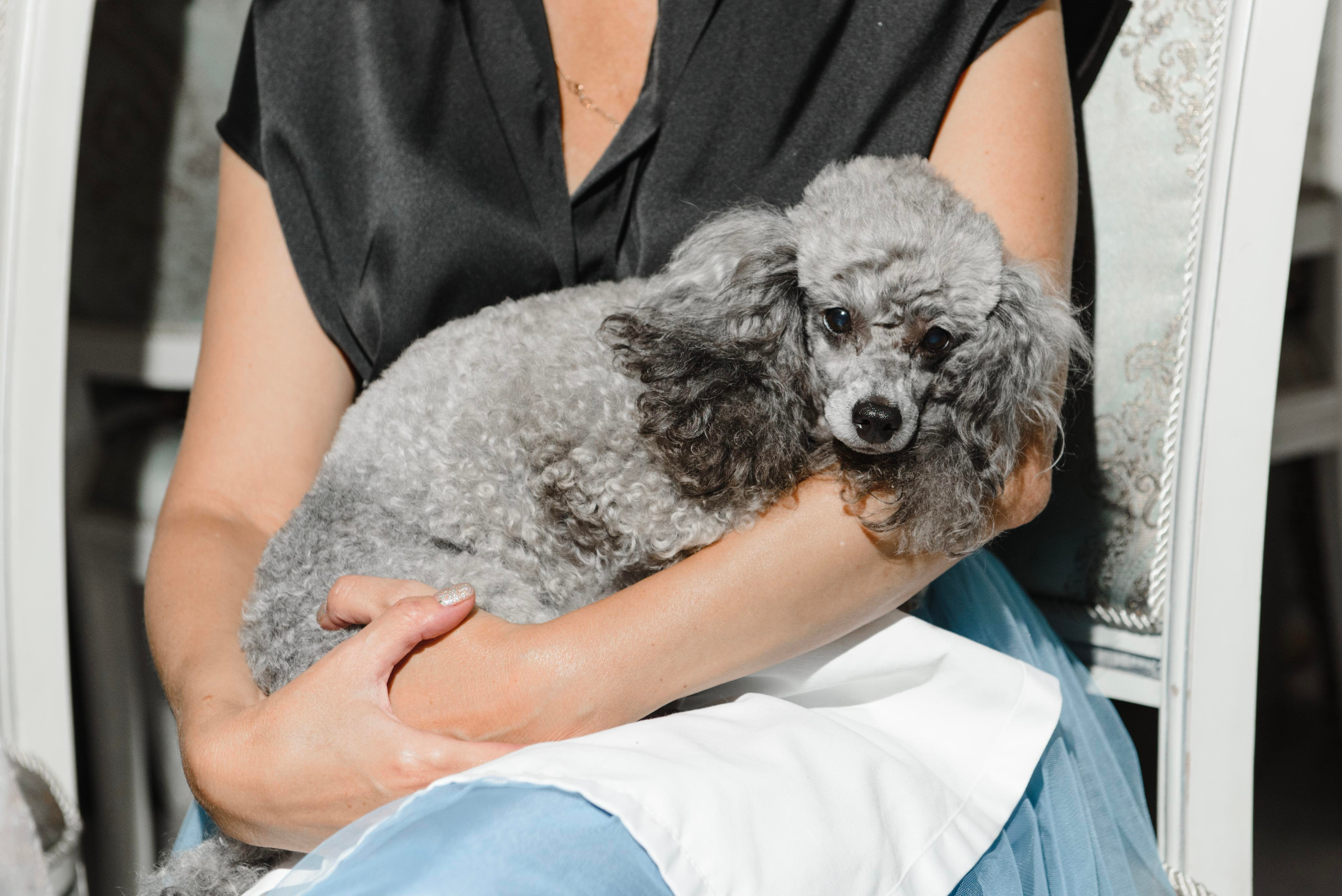 Сборы в  Swissôtel. Свадебный фотограф в Тамбове Андрей Шаталов