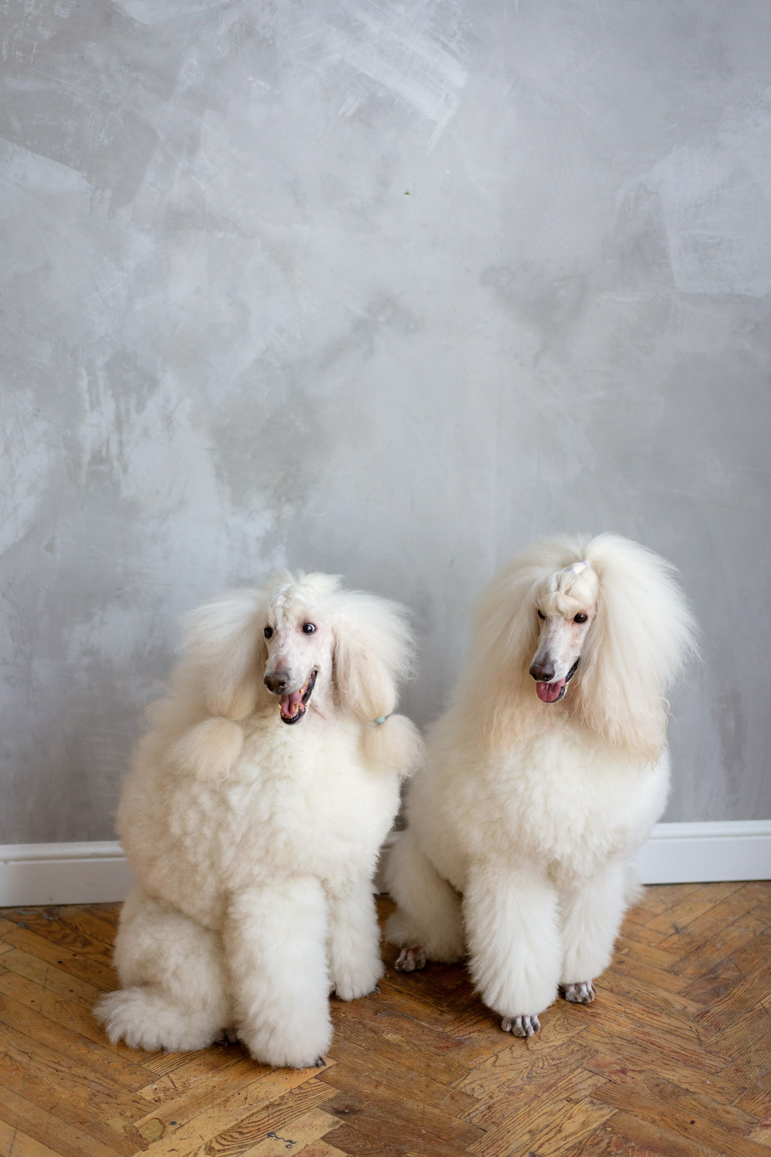 Артем и Стелла. Семейный и свадебный фотограф Минск, Беларусь Анна Орловская