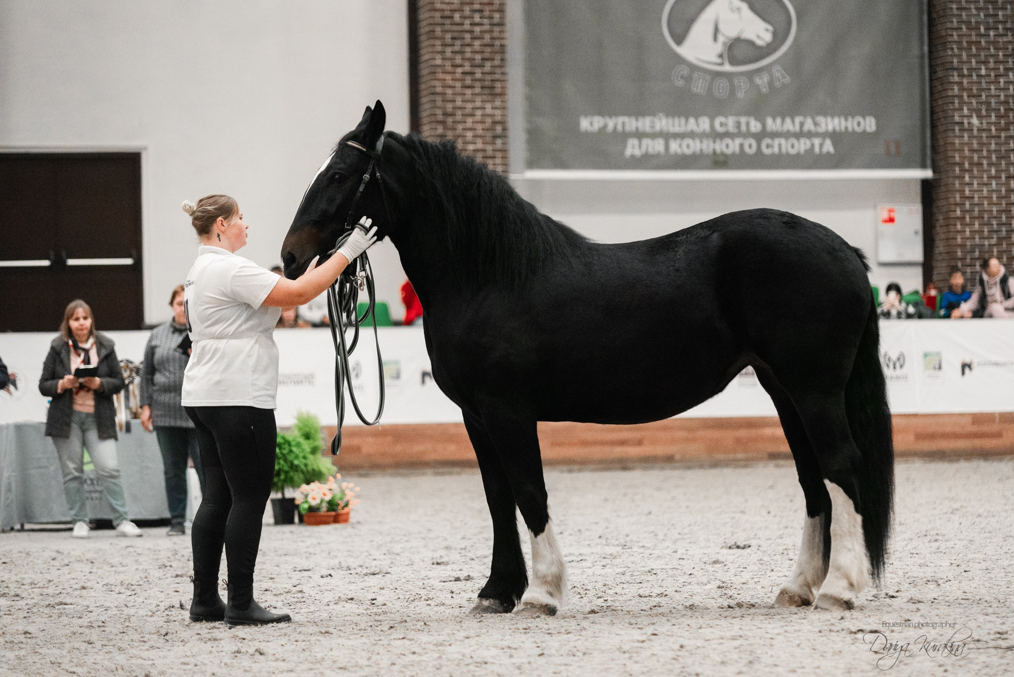 8-я международная выставка Конная Россия. Конный фотограф Куракина Дарья • Фотосессии с лошадьми