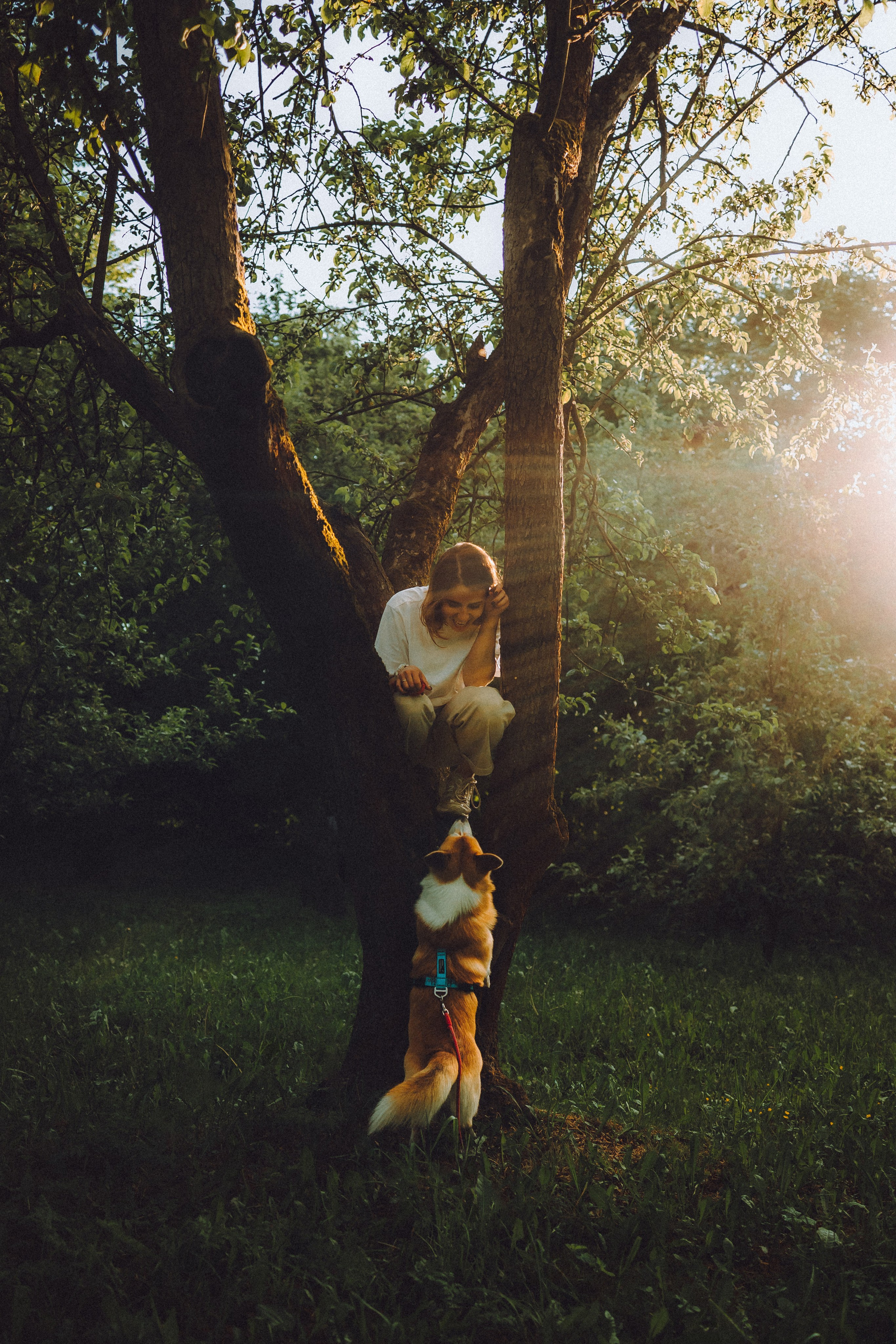 Вирджик и его семья