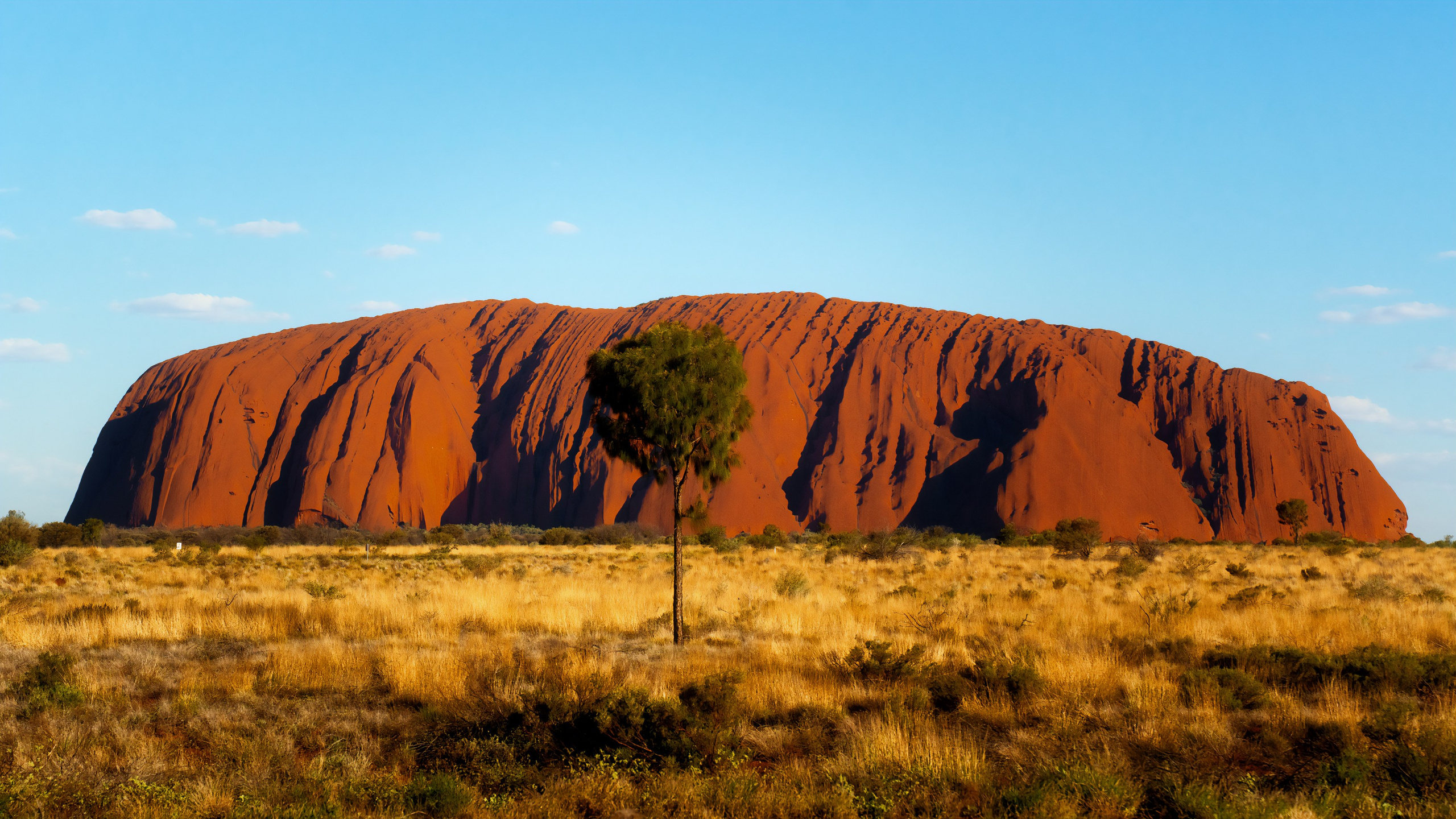 Портфолио. Фотограф в Хабаровске. Фотография за 24 часа